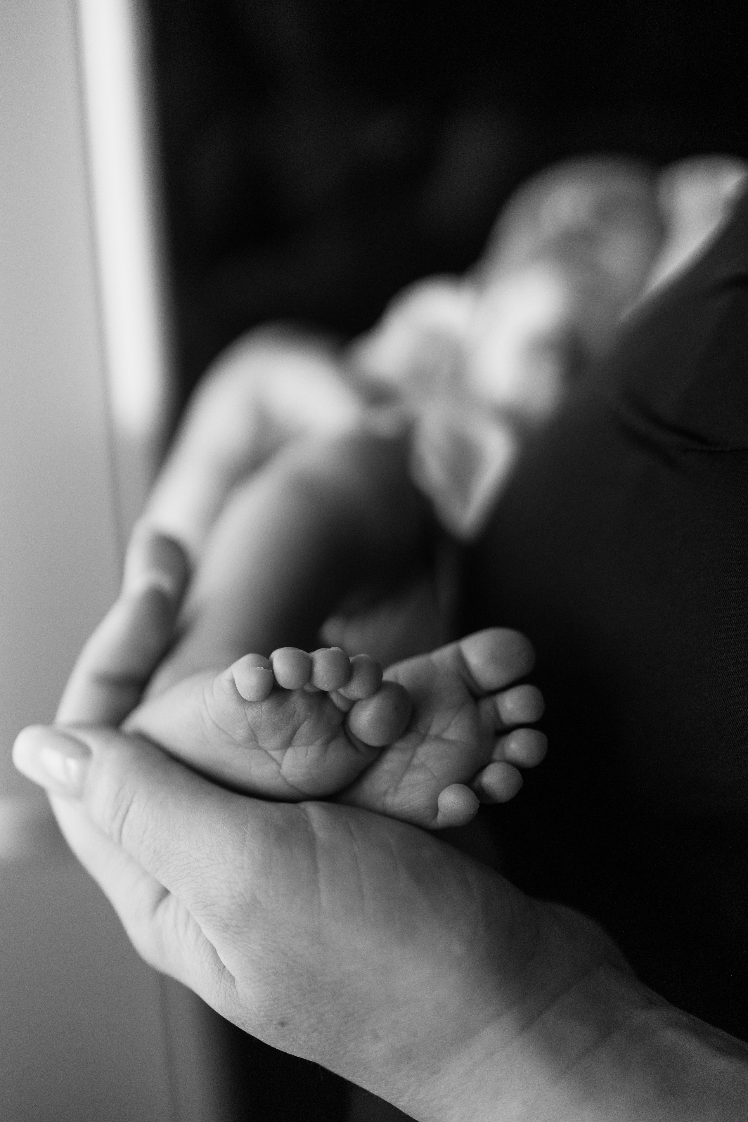 Гордей. Фотограф Новосибирск