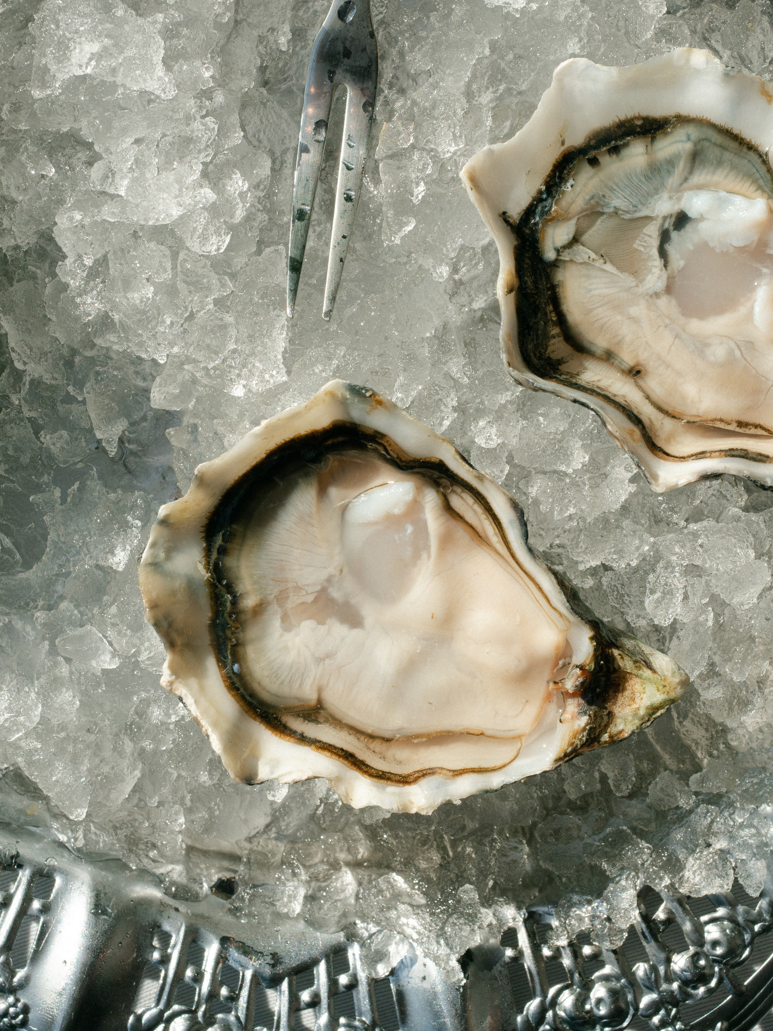 Joli. Фотограф Калинич Юлия