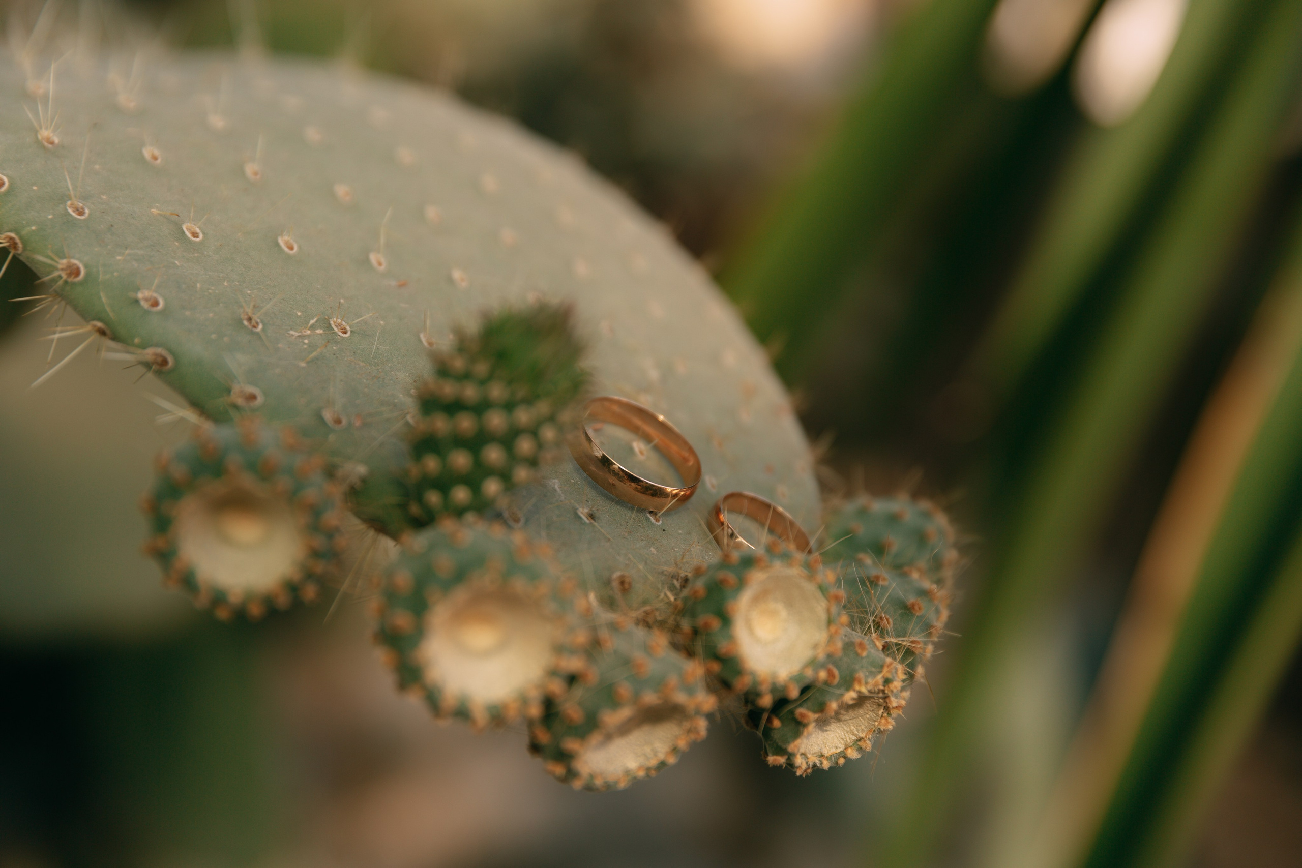 Оля и Кирилл. Катерина Макиева