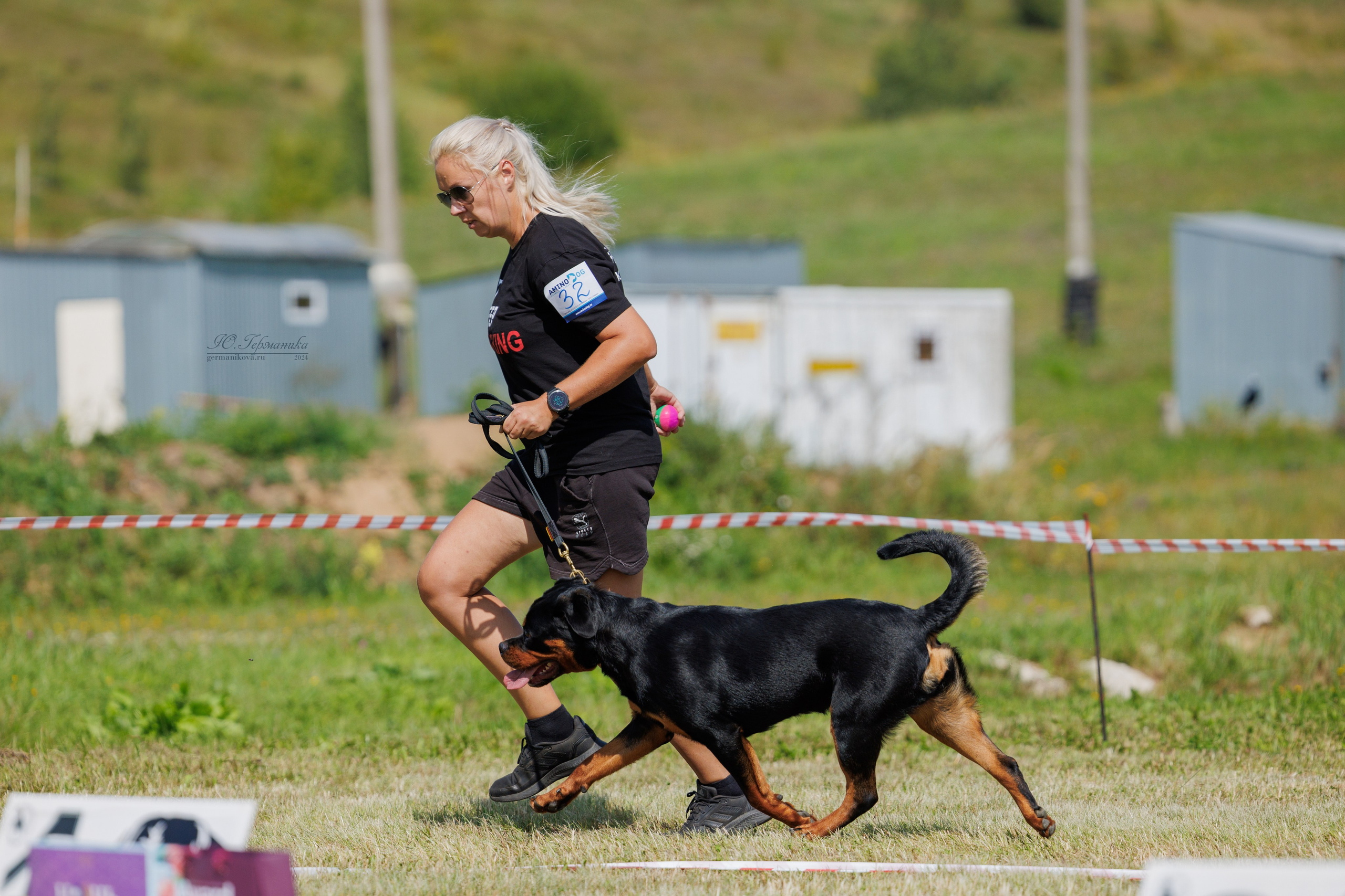 Рязань-Ховрино 10-11.08.2024 3хмоно ротвейлеров. Фотограф-анималист Юлия Германика