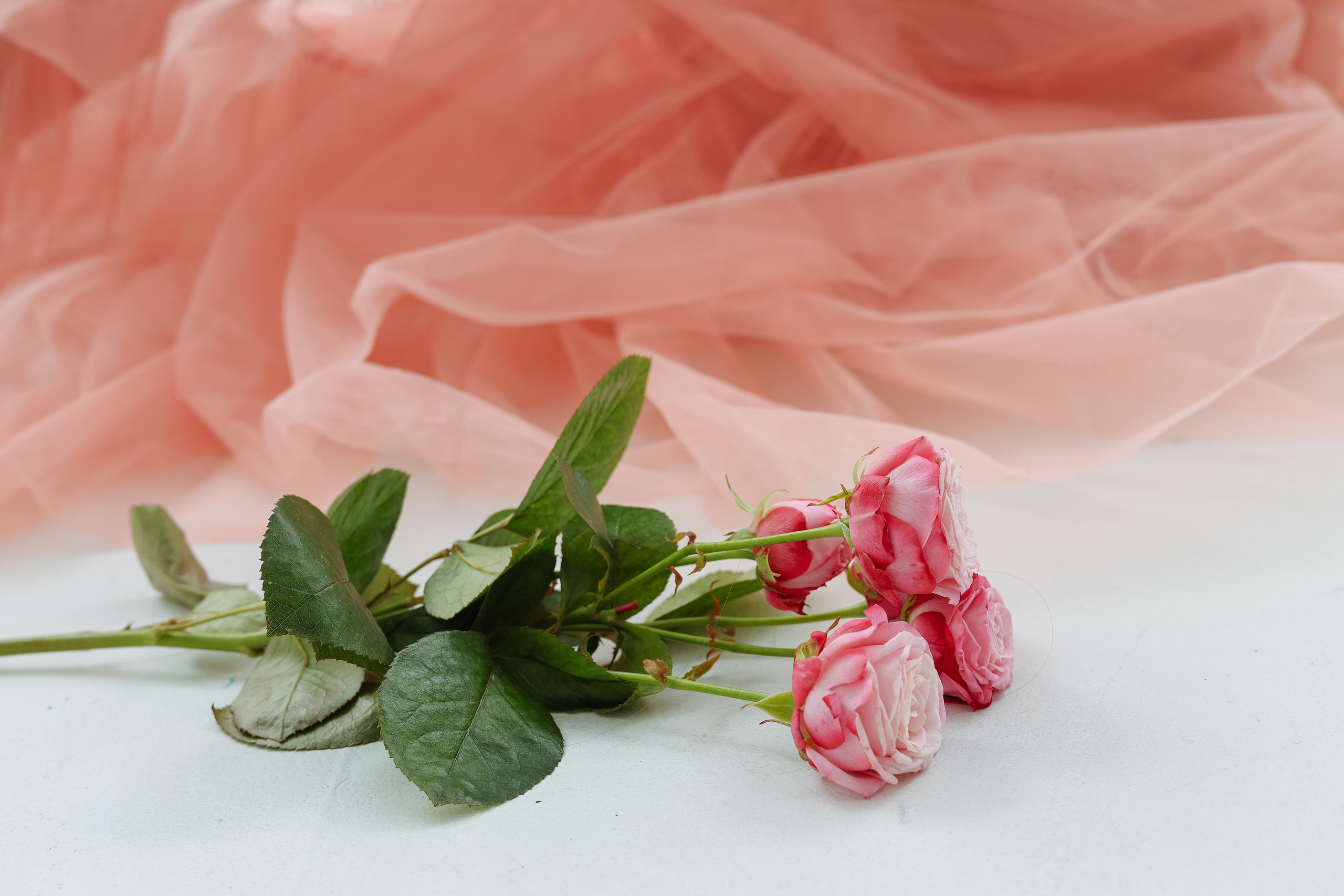 Анастасия. Фотограф Ростов-на-Дону