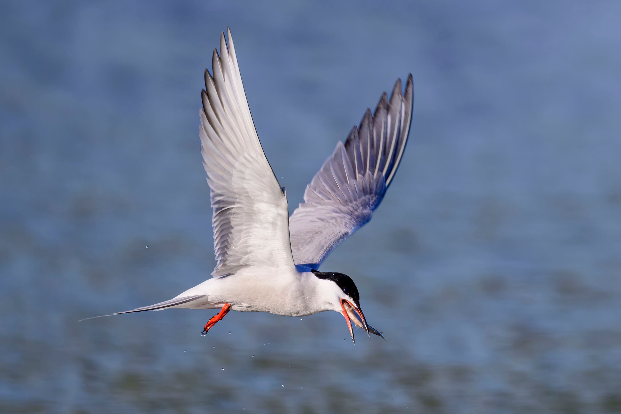 Дмитров. Фотограф Сергей Пупонин