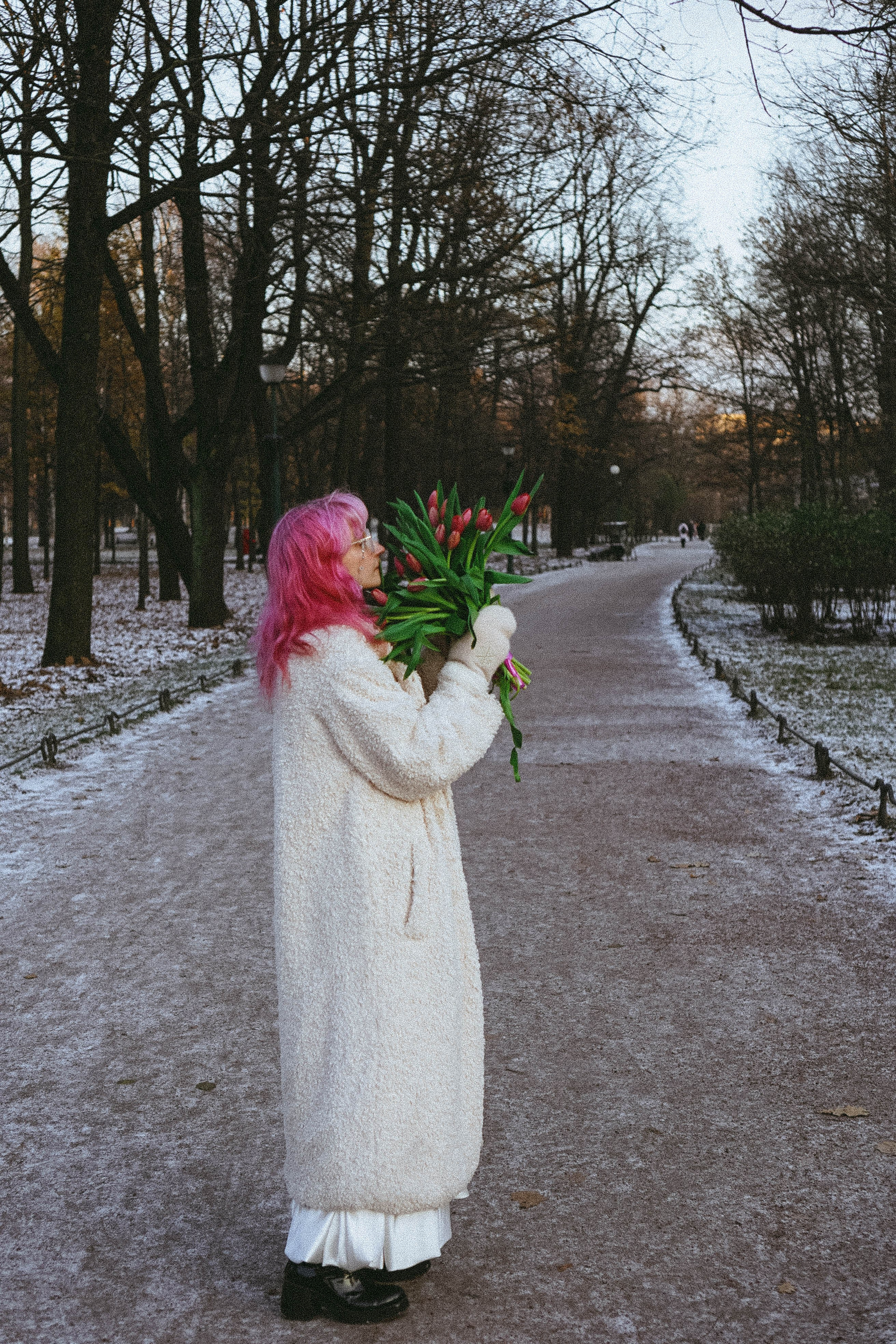 Тюльпаны. Профессиональный фотограф, Санкт-Петербург — Виктория Богомолова