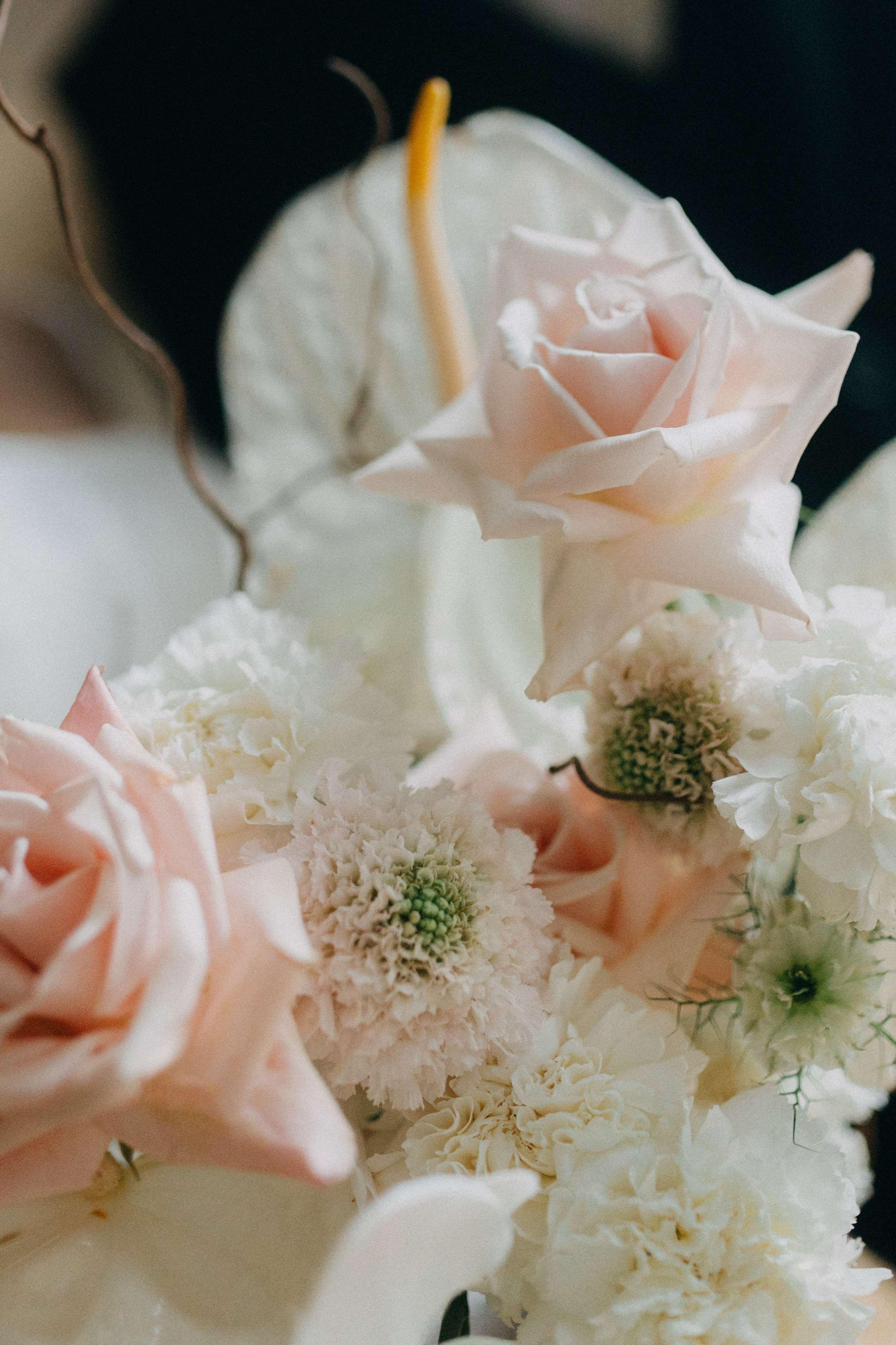 Лена & Даня. Фотограф НОГИНСК, Москва, Анастасия Белая