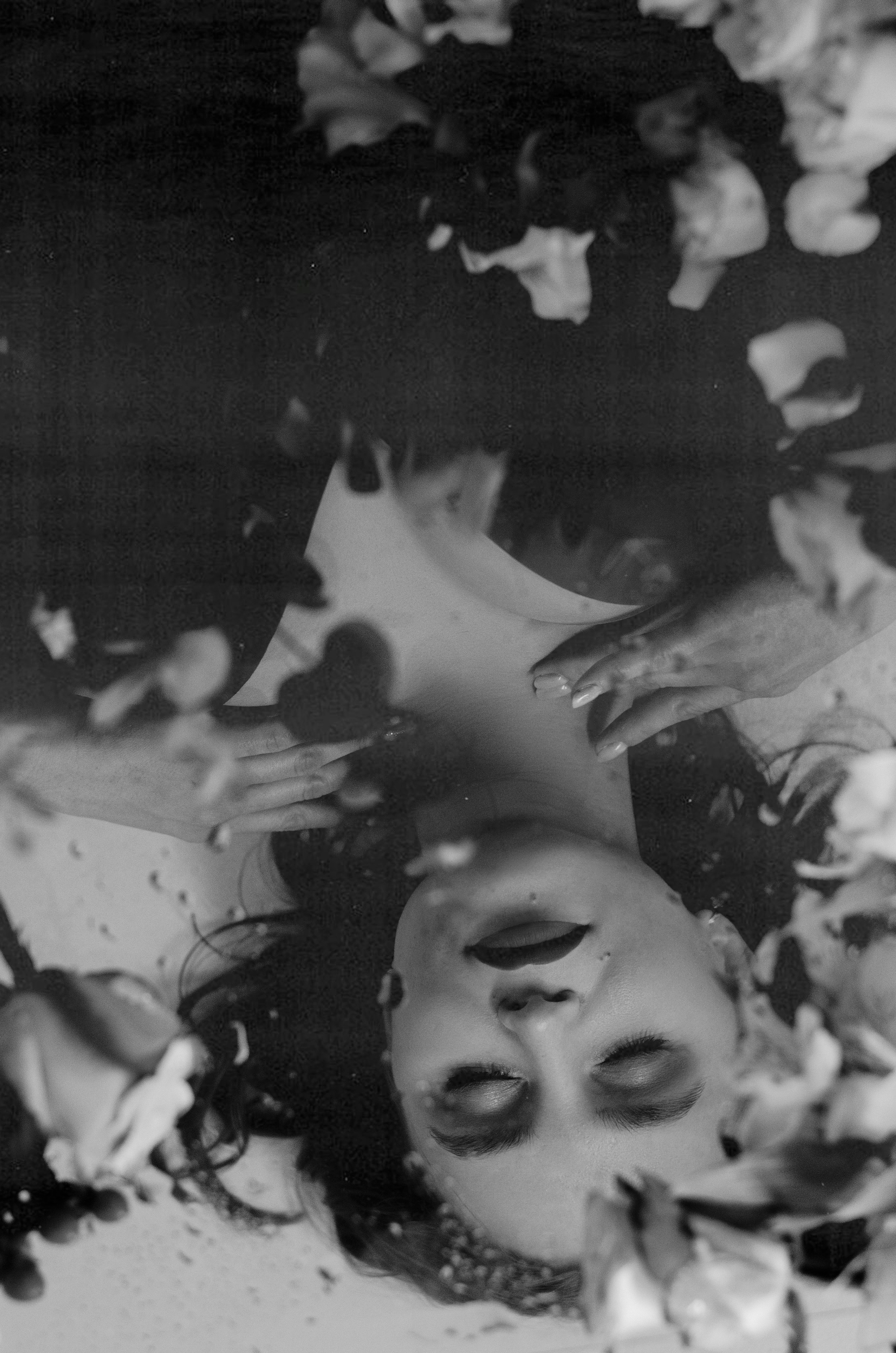 Арт. Портфолио