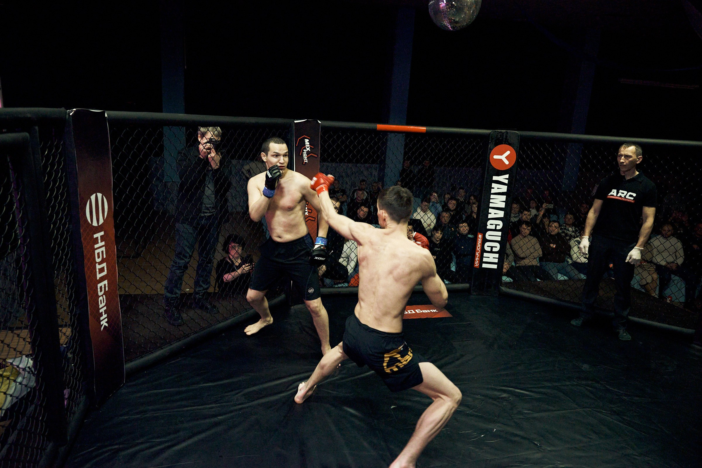 Бои. Маляревич Дмитрий свадебный фотограф