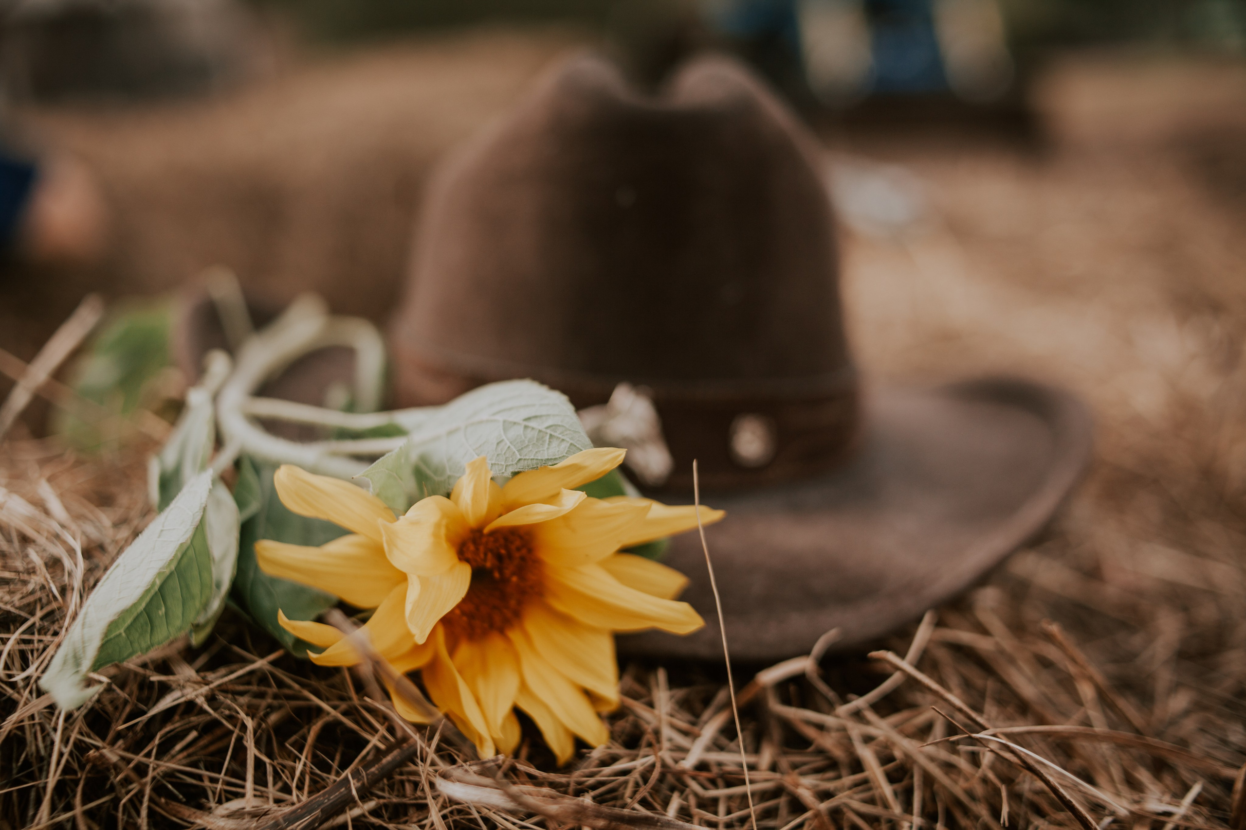Наташа. Семейный фотограф во Всеволожске и Санкт-Петербурге Юлия Капустина