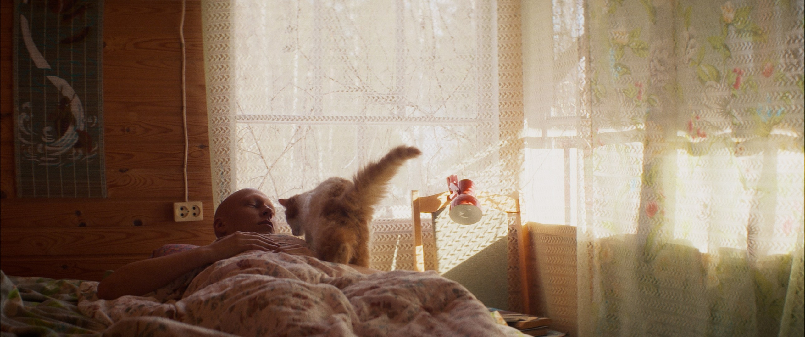 Мяу! (short film). Цветокоррекция видео онлайн Иван Сержанов