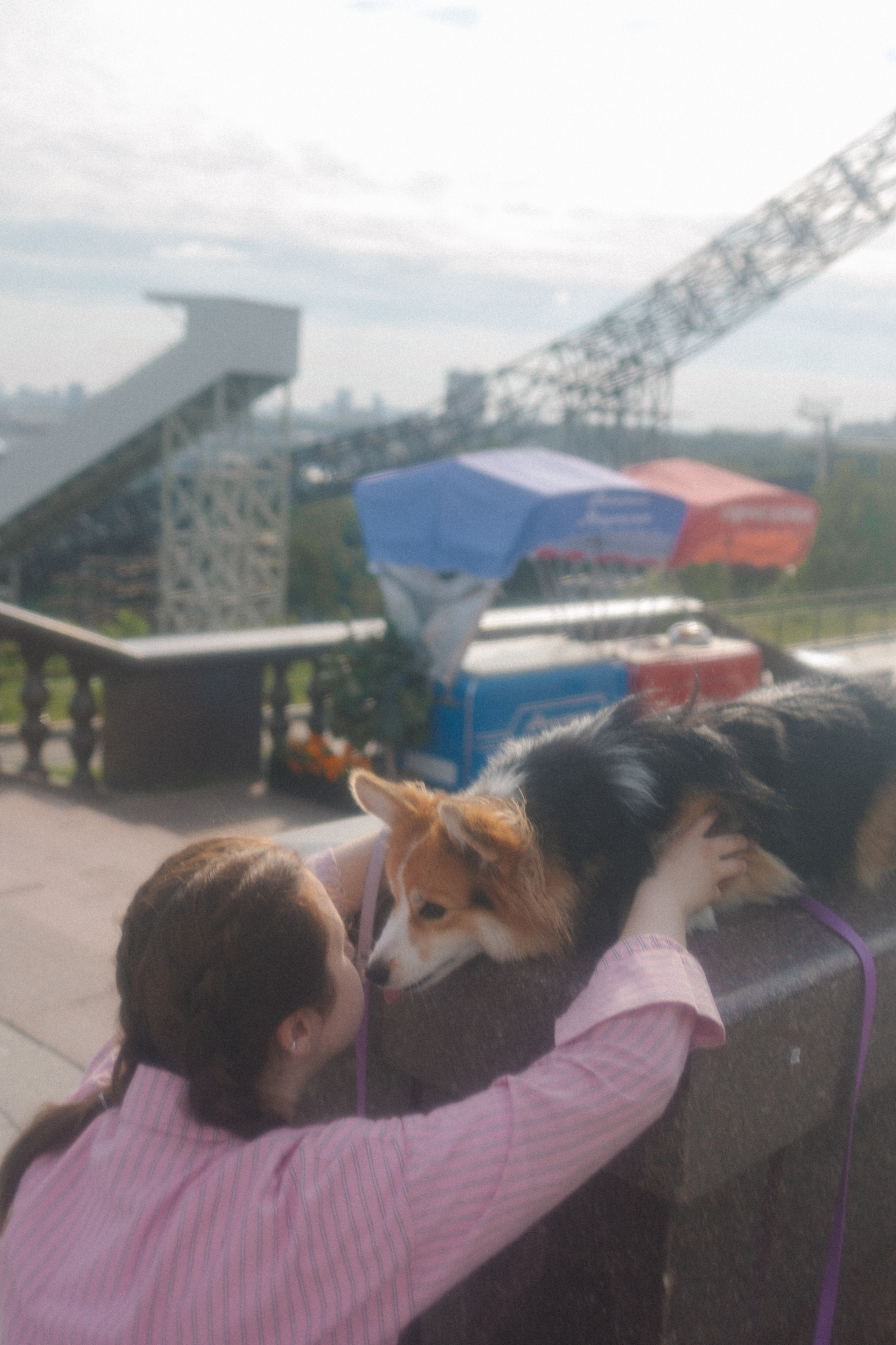 Мишель и Влада. Фотораф — анималист Мария Шистка