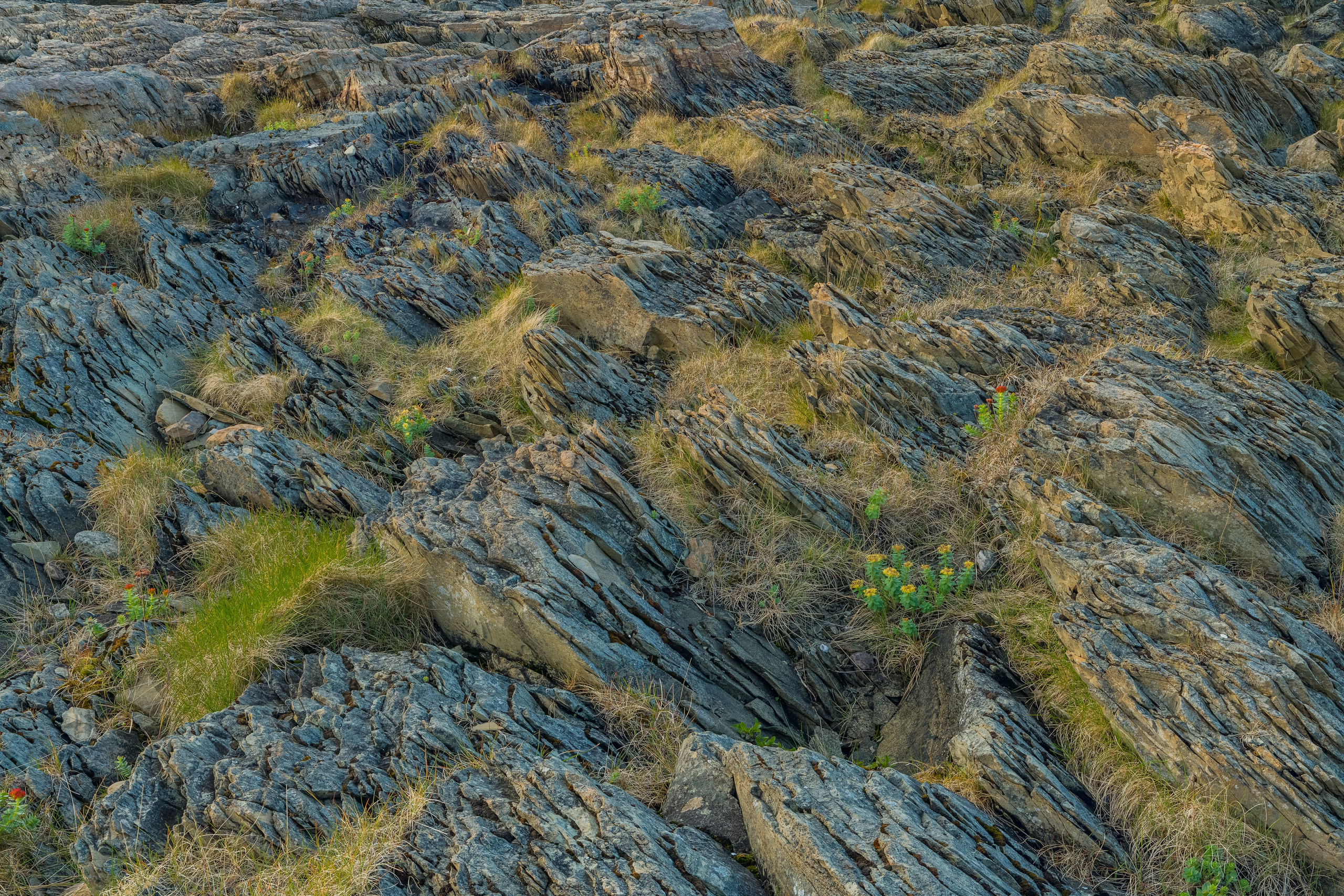 Варангер. Северные Ночи