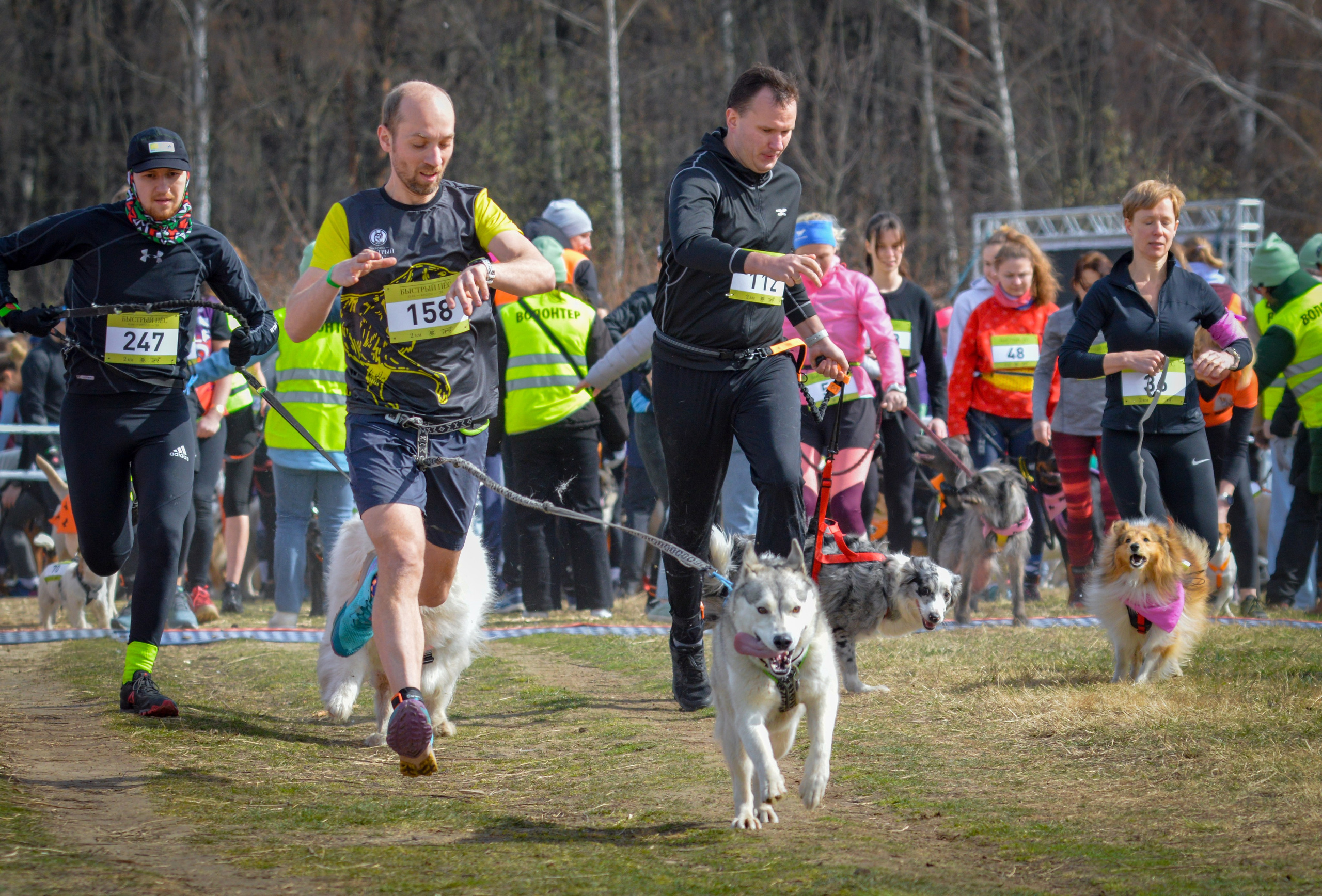 Кросс «Быстрый Пёс» — 15.04.2023. AlexFecto — галереи фотографий