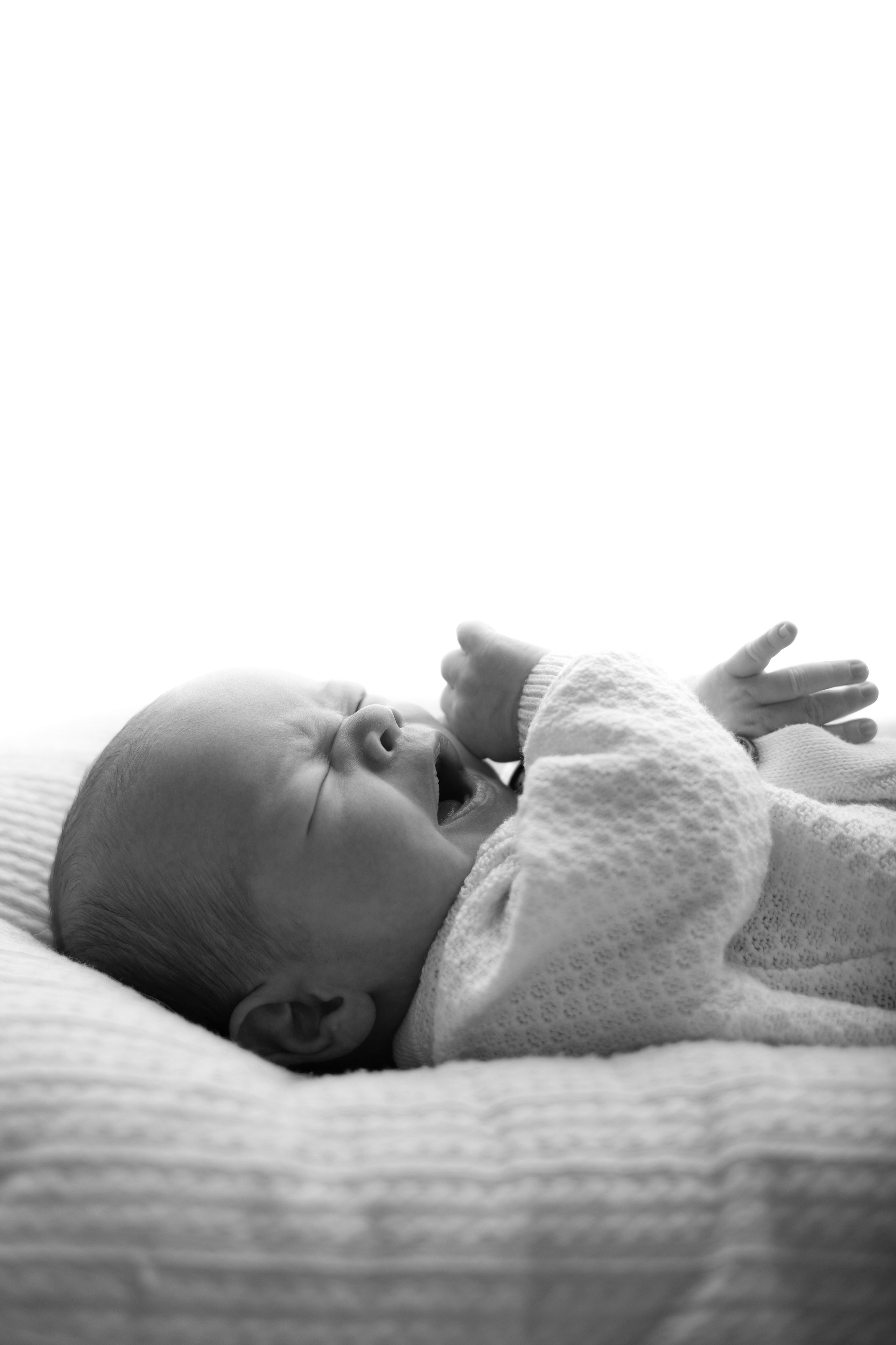 Лев. Лилия Алтухова — фотограф новорожденных в Москве и области