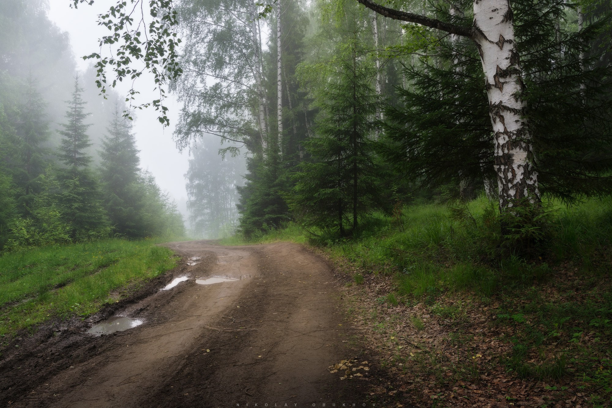Летние пейзажи Черноисточинска | Фотограф Николай Обухов