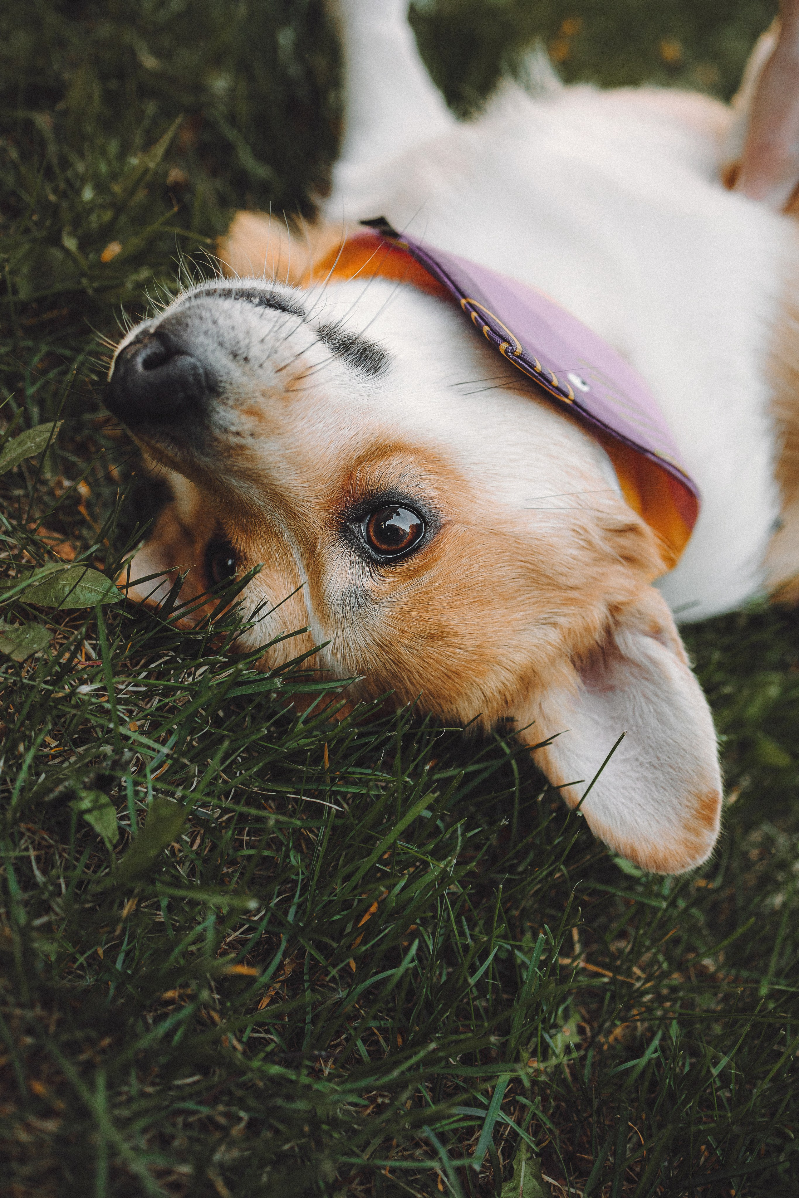 Вика и Мейзи