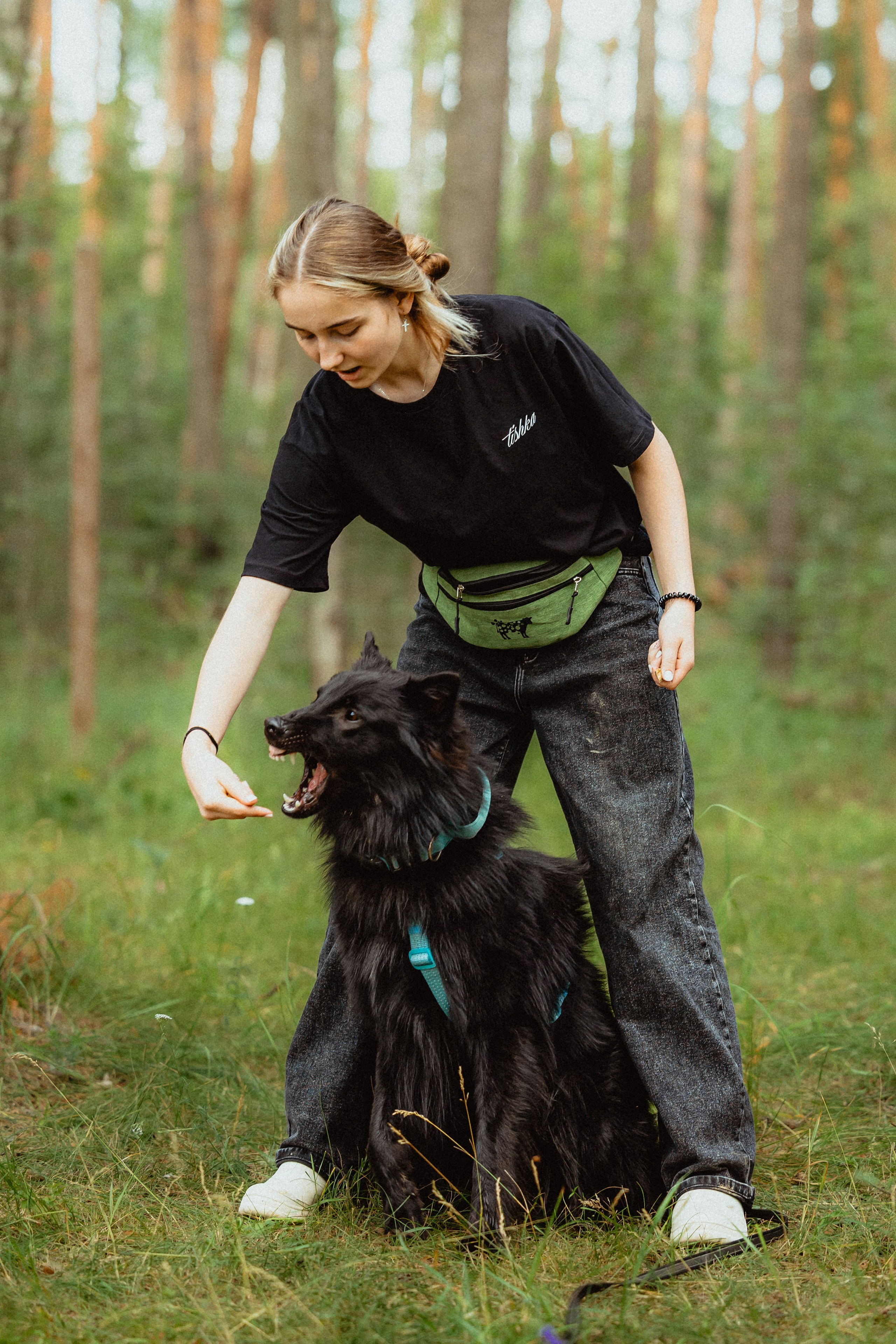 Выездной дог-тренинг от школы «Шерсть имею»
