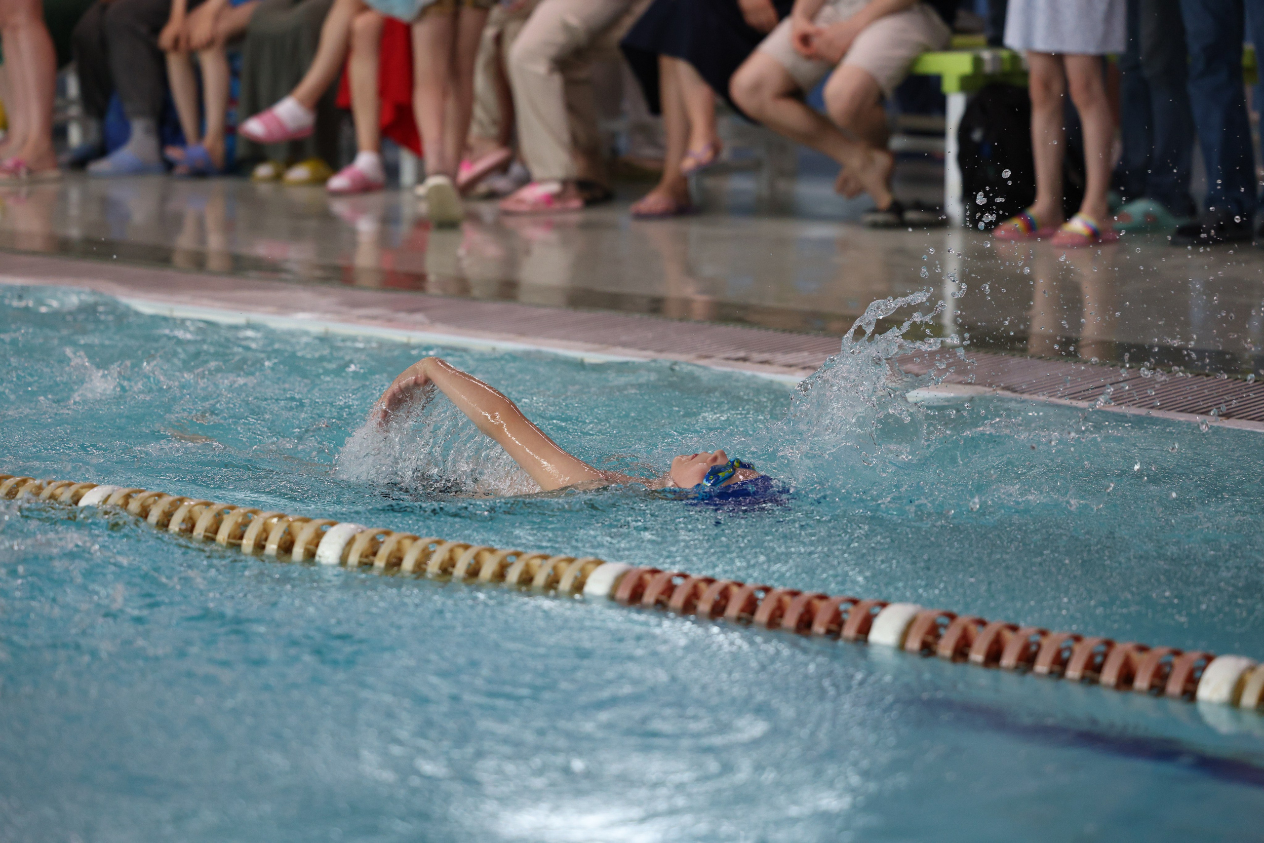Веселый дельфин. Плавание. Дети 8-9 лет. Фотограф Александр Заломаев