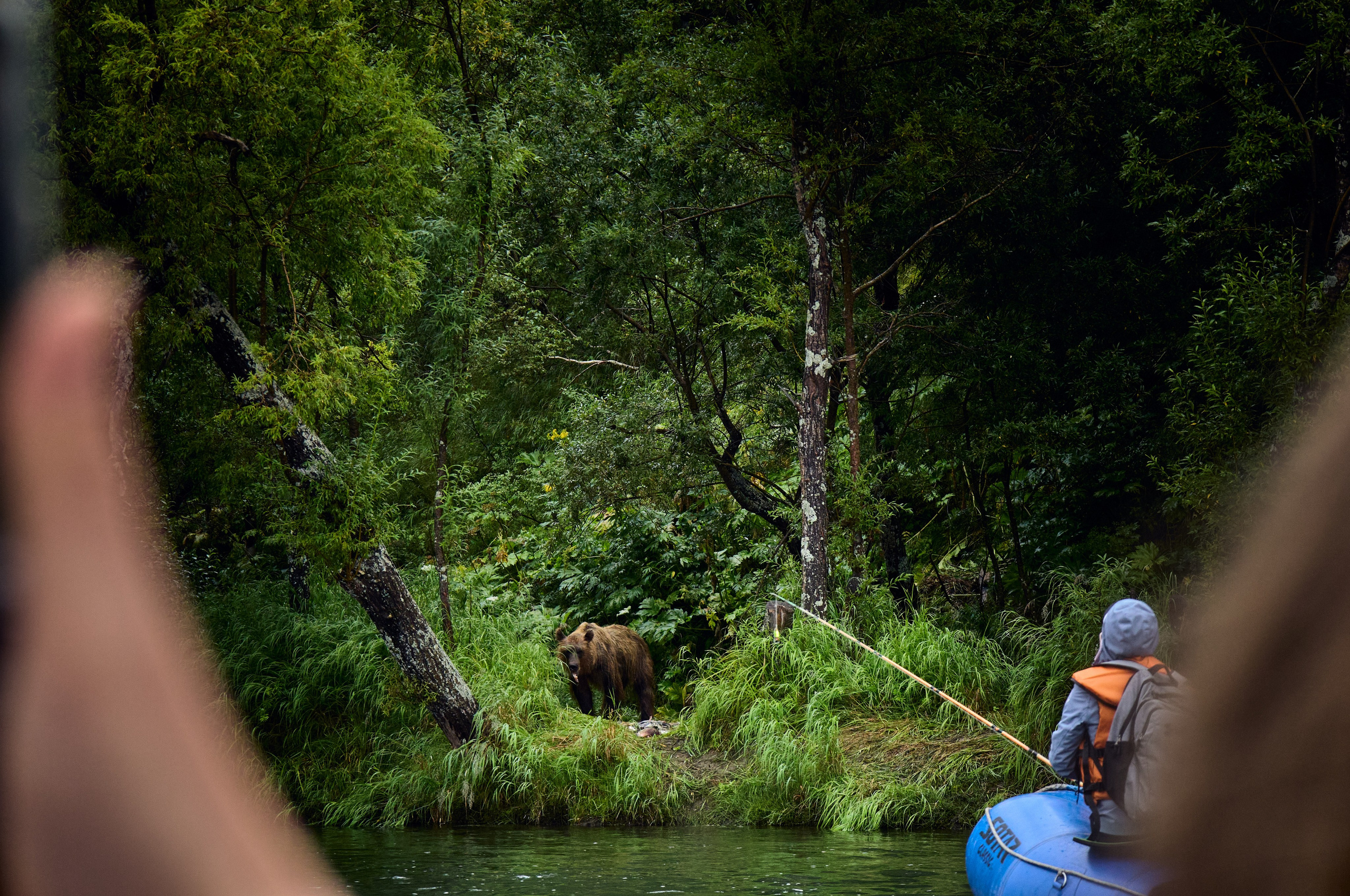 Камчатка. Travel-фотограф Ирина Милинцова