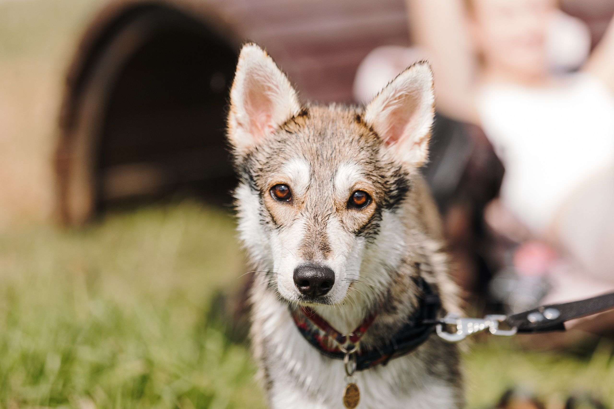 Petshop Sup day. Фотограф анималист Кристина Карпова, Москва