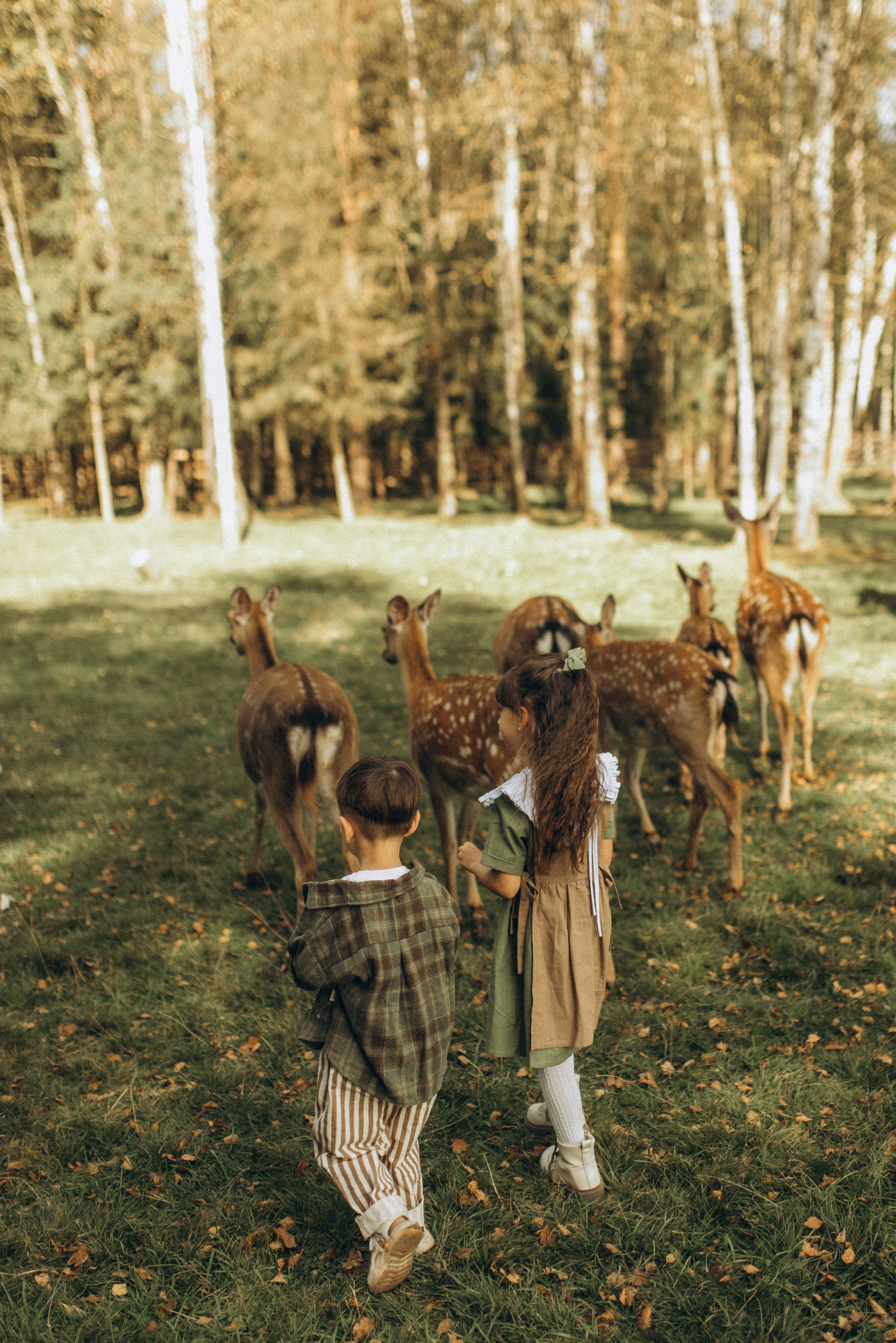 Прогулка к оленям. Семейный фотограф в Москве Екатерина Север