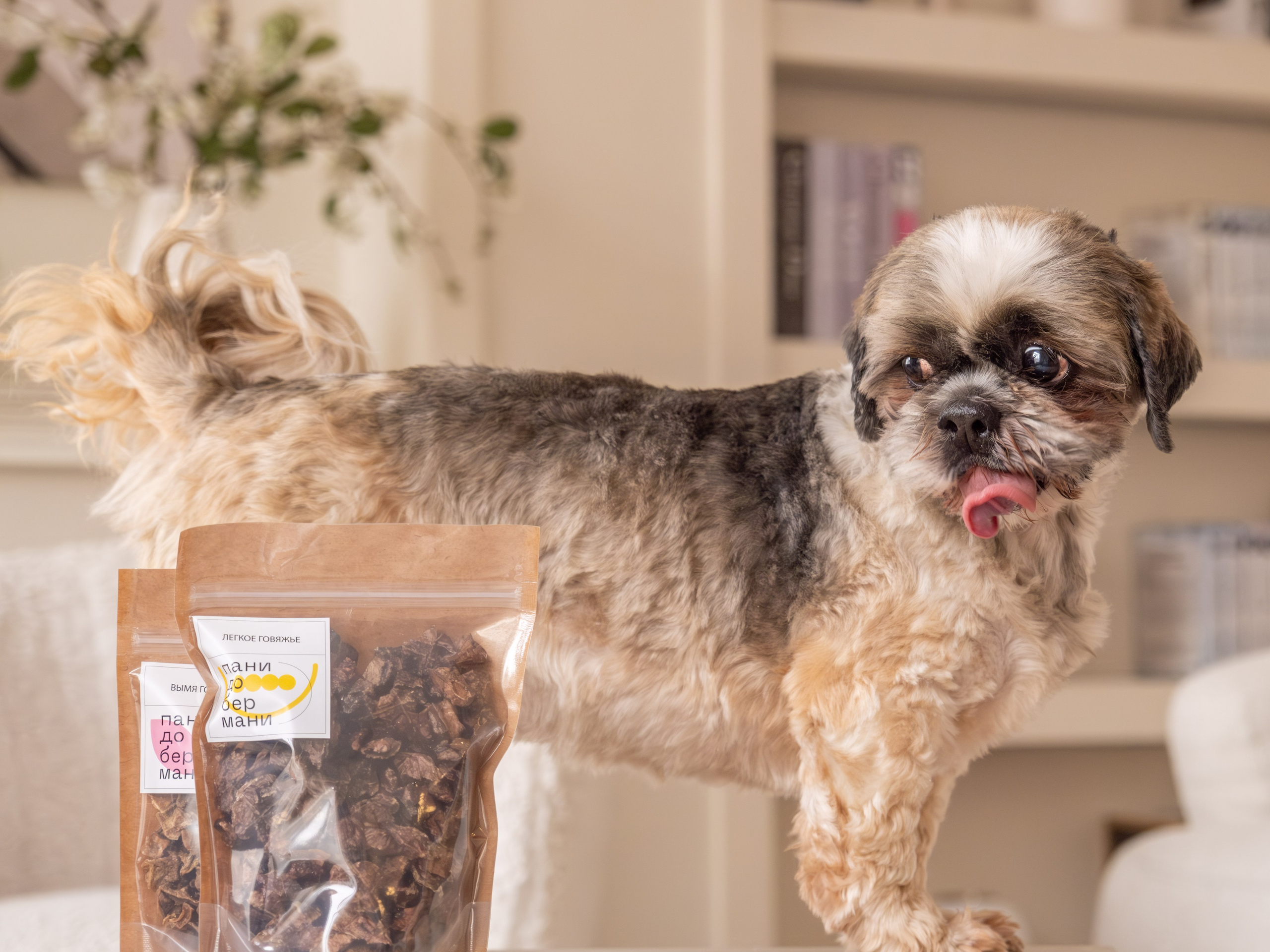 Съёмка для рекламной кампании лакомств для собак (для Григория)!. Зоофотограф, фотограф животных в Москве и области Дина Дамоцева