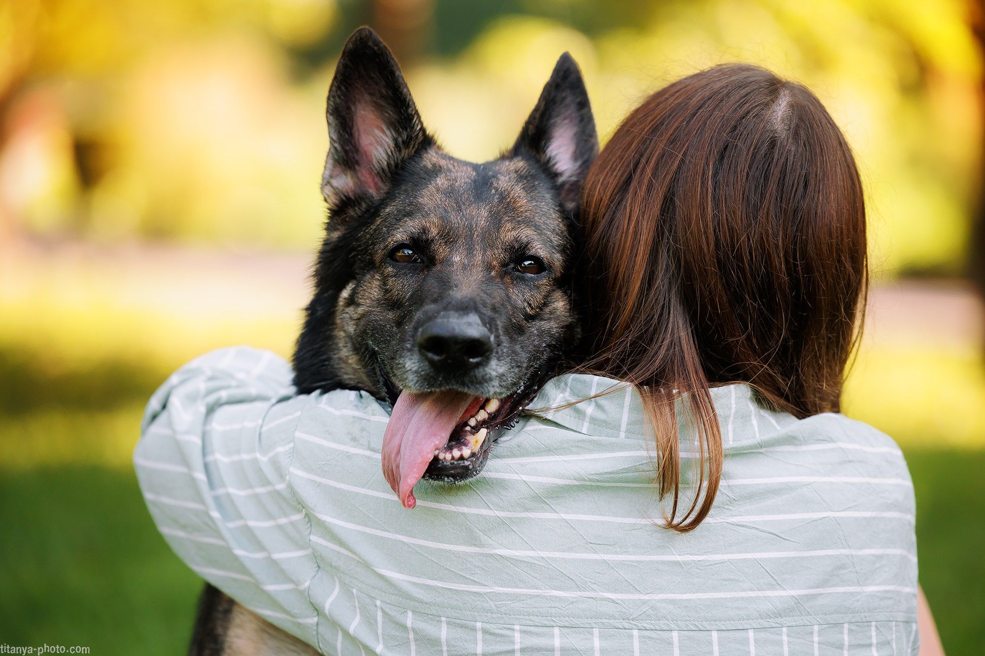 Маша и Харпи. Фотограф собак, фотограф-анималист Аня Титова (Titanya). Москва