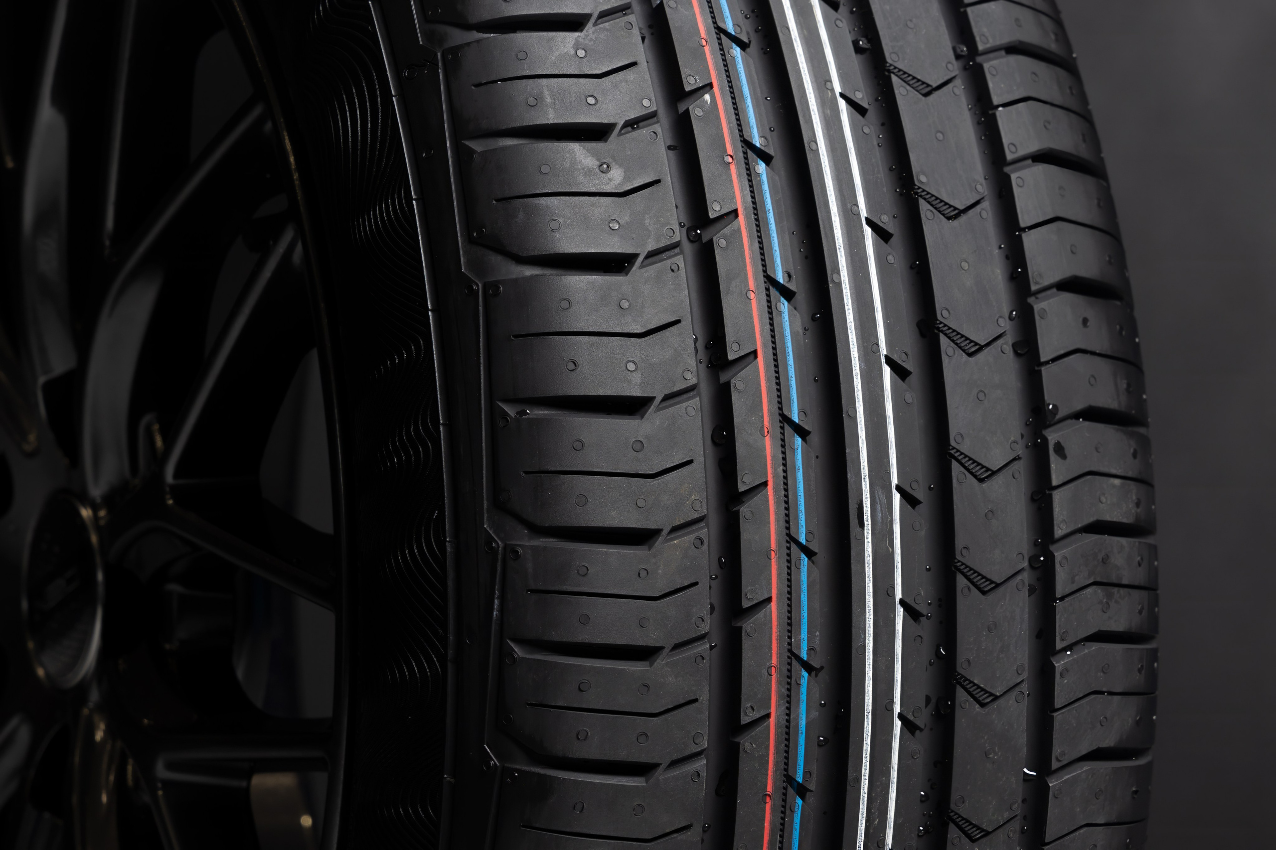 Шины. Photomantis