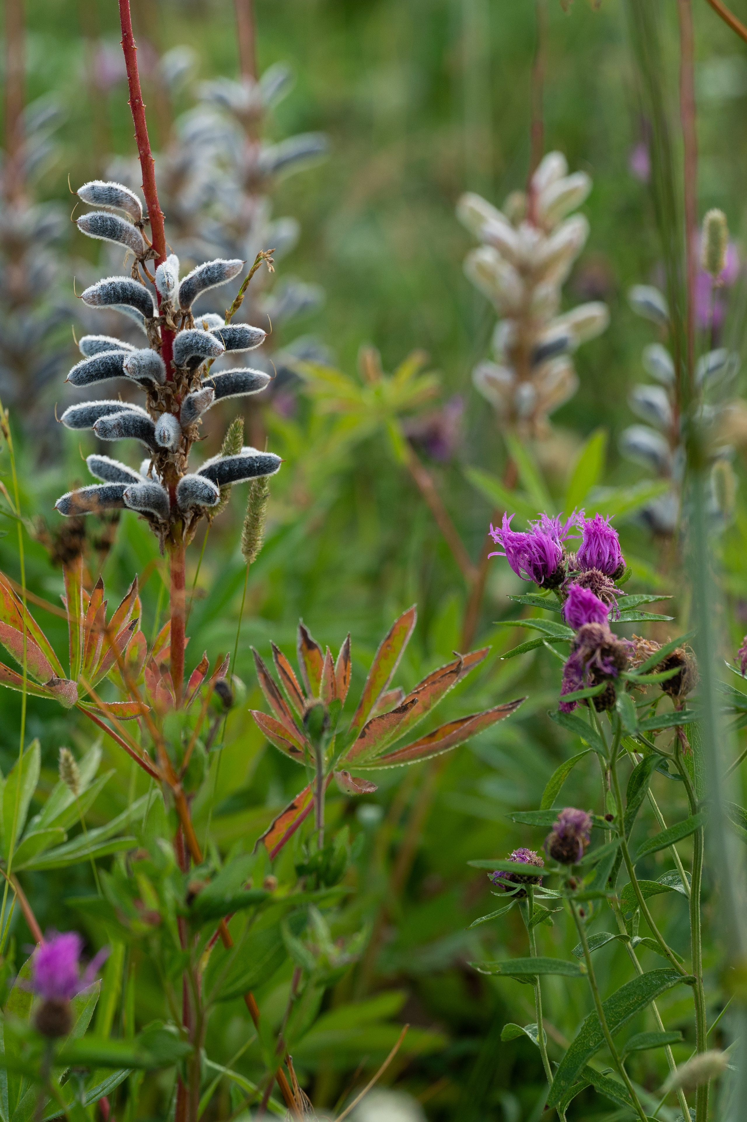 Пейзажи и архитектура. Портретный фотограф в Москве Евгений Кемайкин
