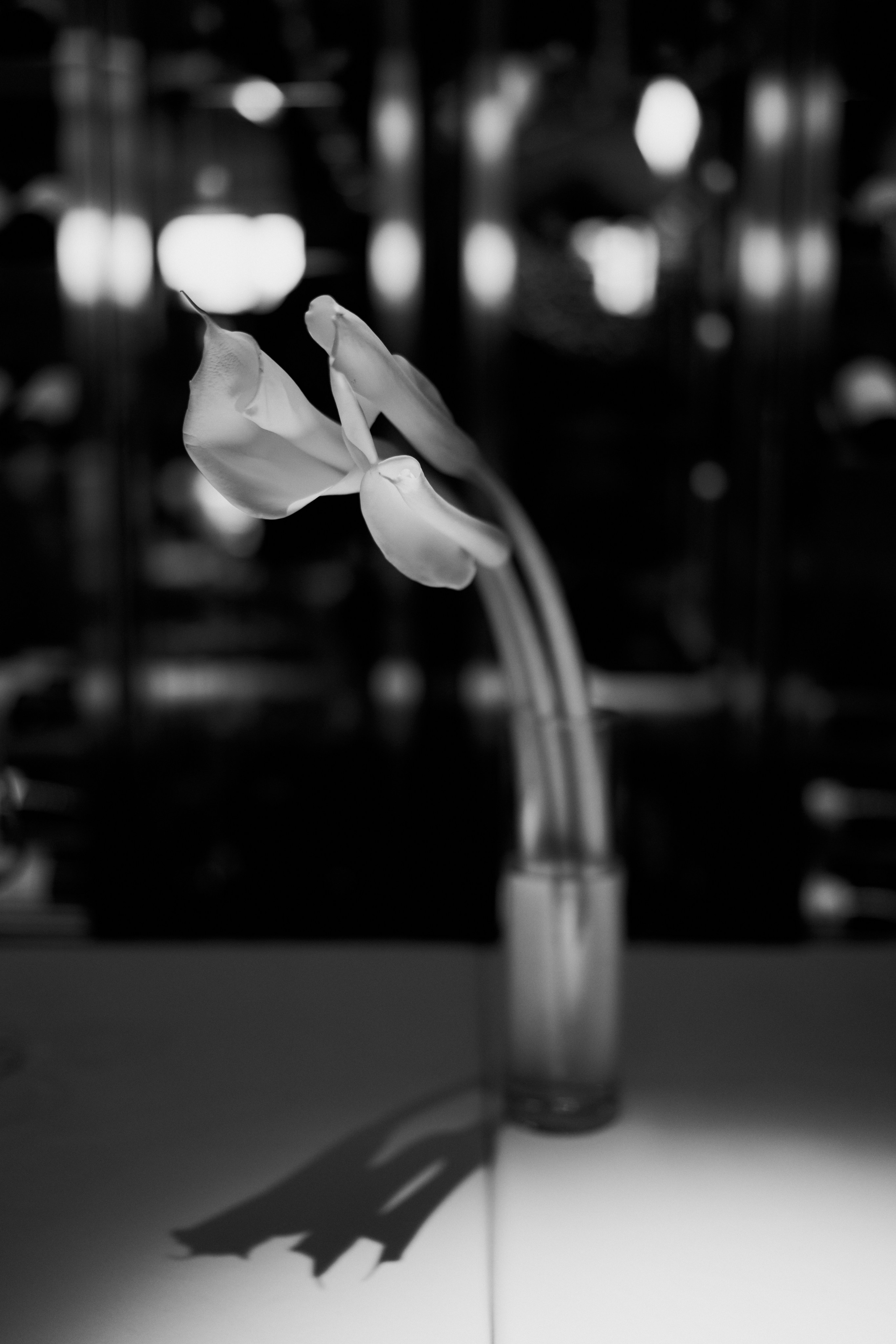 Свадебная съёмка москва. Wish Films — Фото и видео для брендов и личных проектов | Фотограф и видеограф