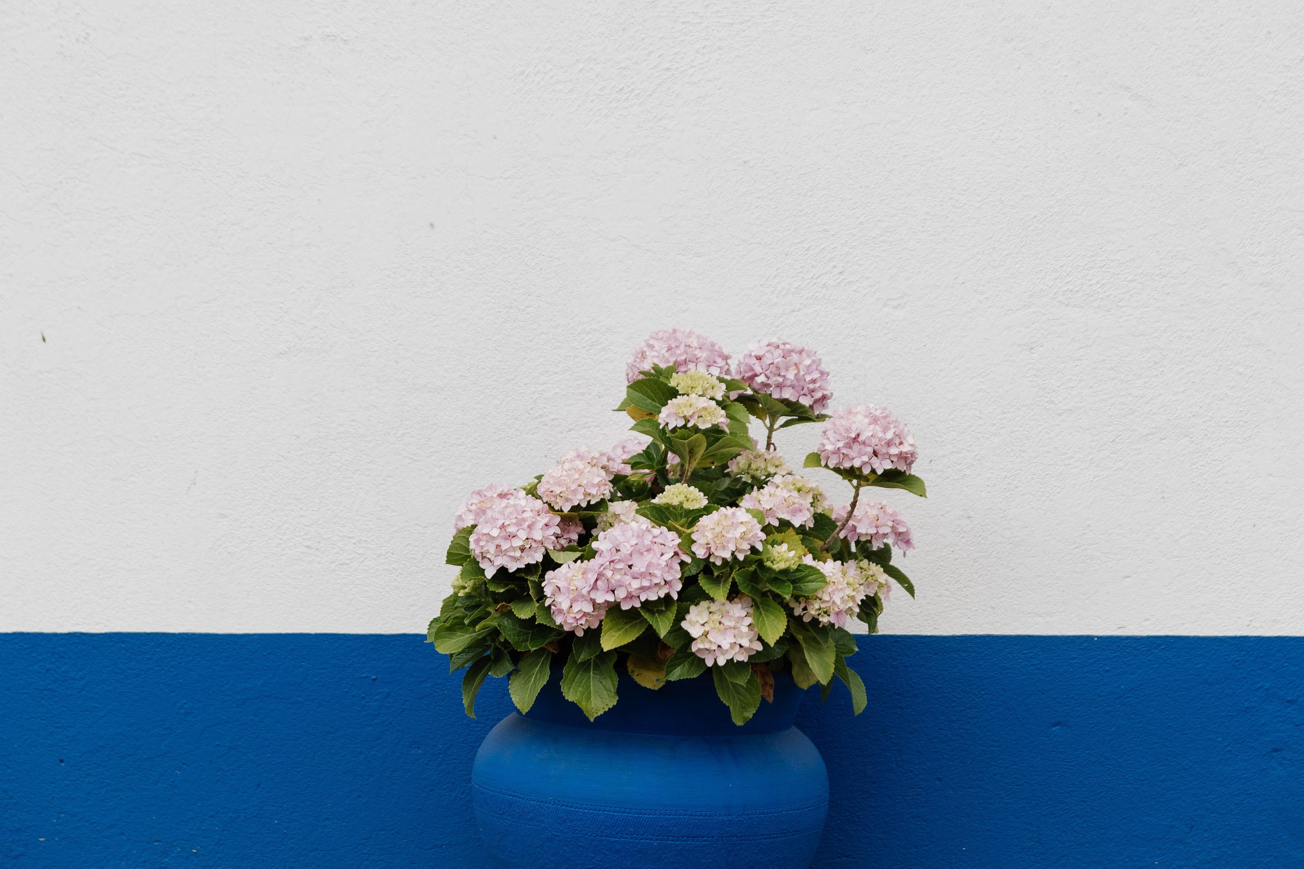 WHITE AWARDS ЛУЧШИЙ РЕПОРТАЖНЫЙ СВАДЕБНЫЙ ФОТОГРАФ. Свадебный фотограф в Москве Павел Лепешев