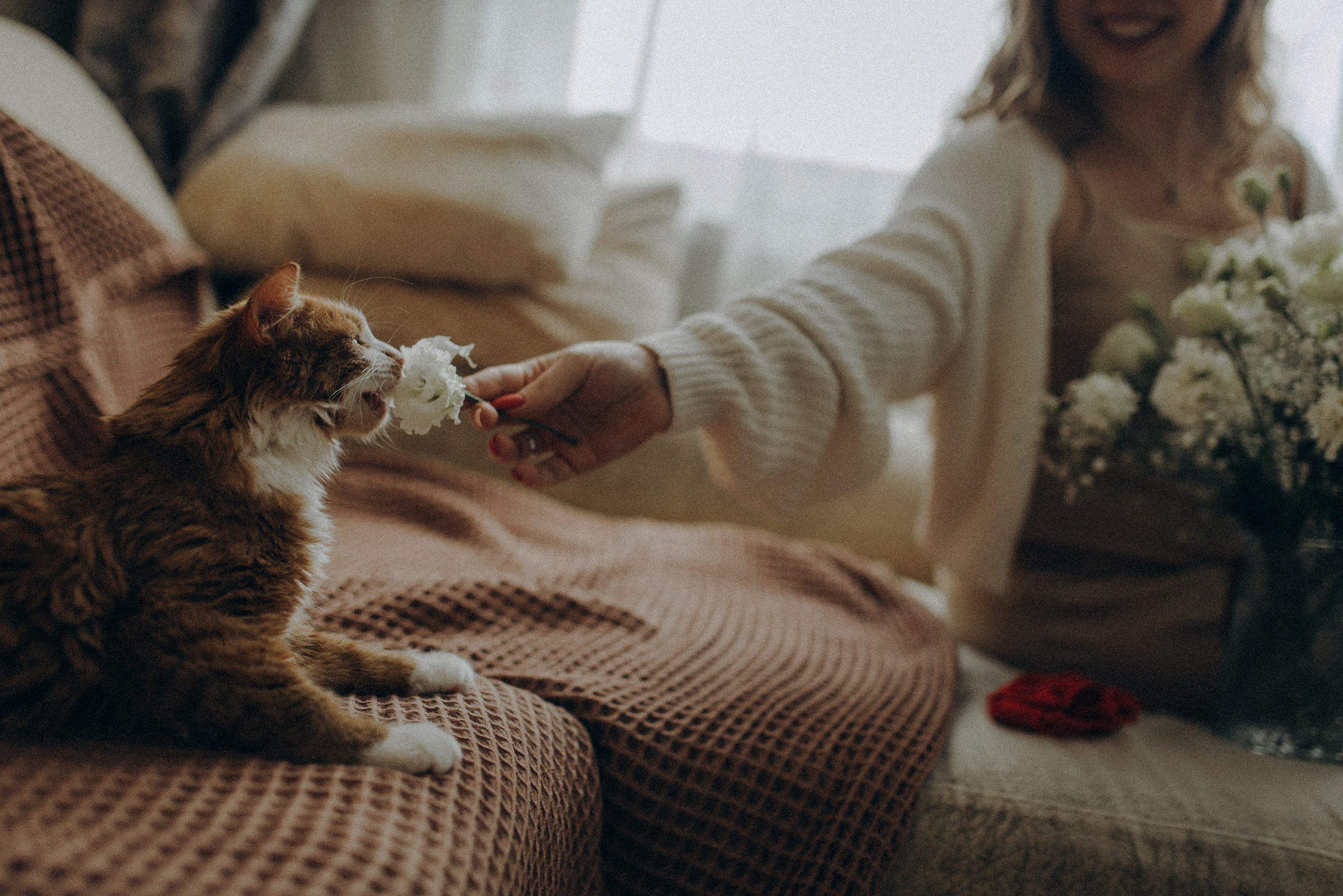 Тимур и Юля. Фотограф в Петербурге Ольга Стрельченко