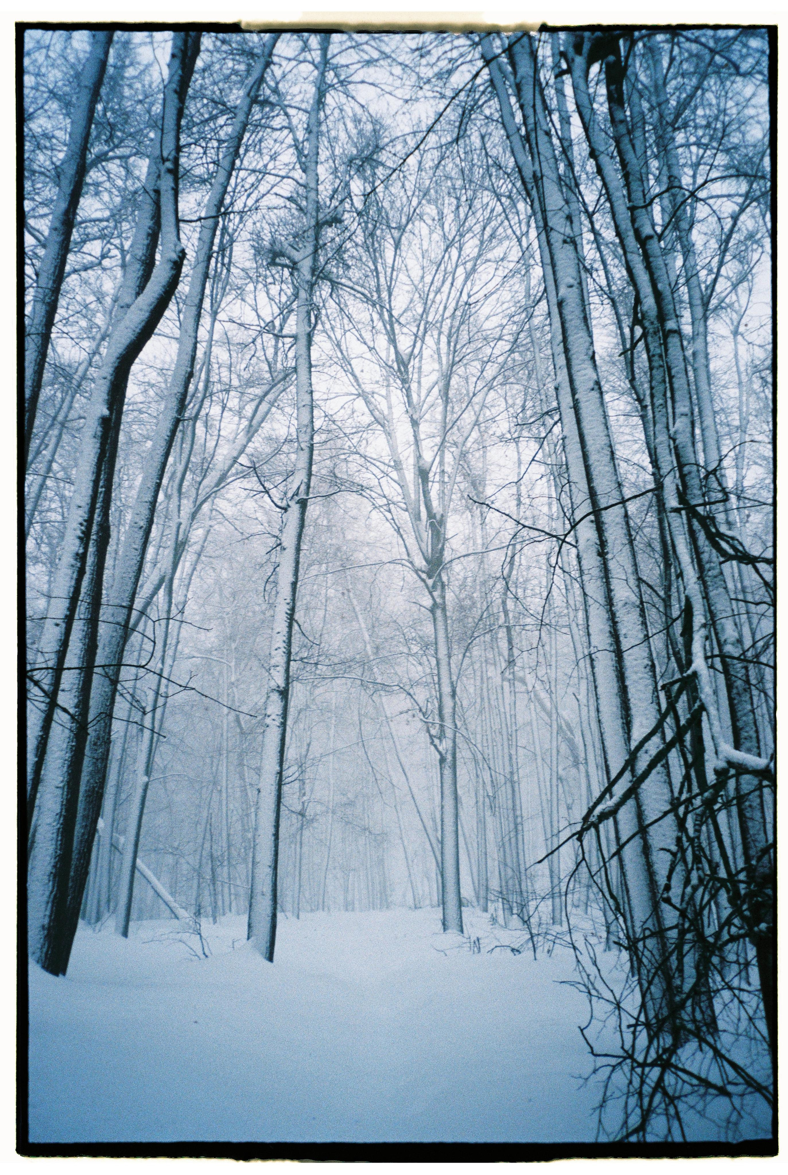 Nature. Фотограф Ирина Гринько Тольятти Самара Москва