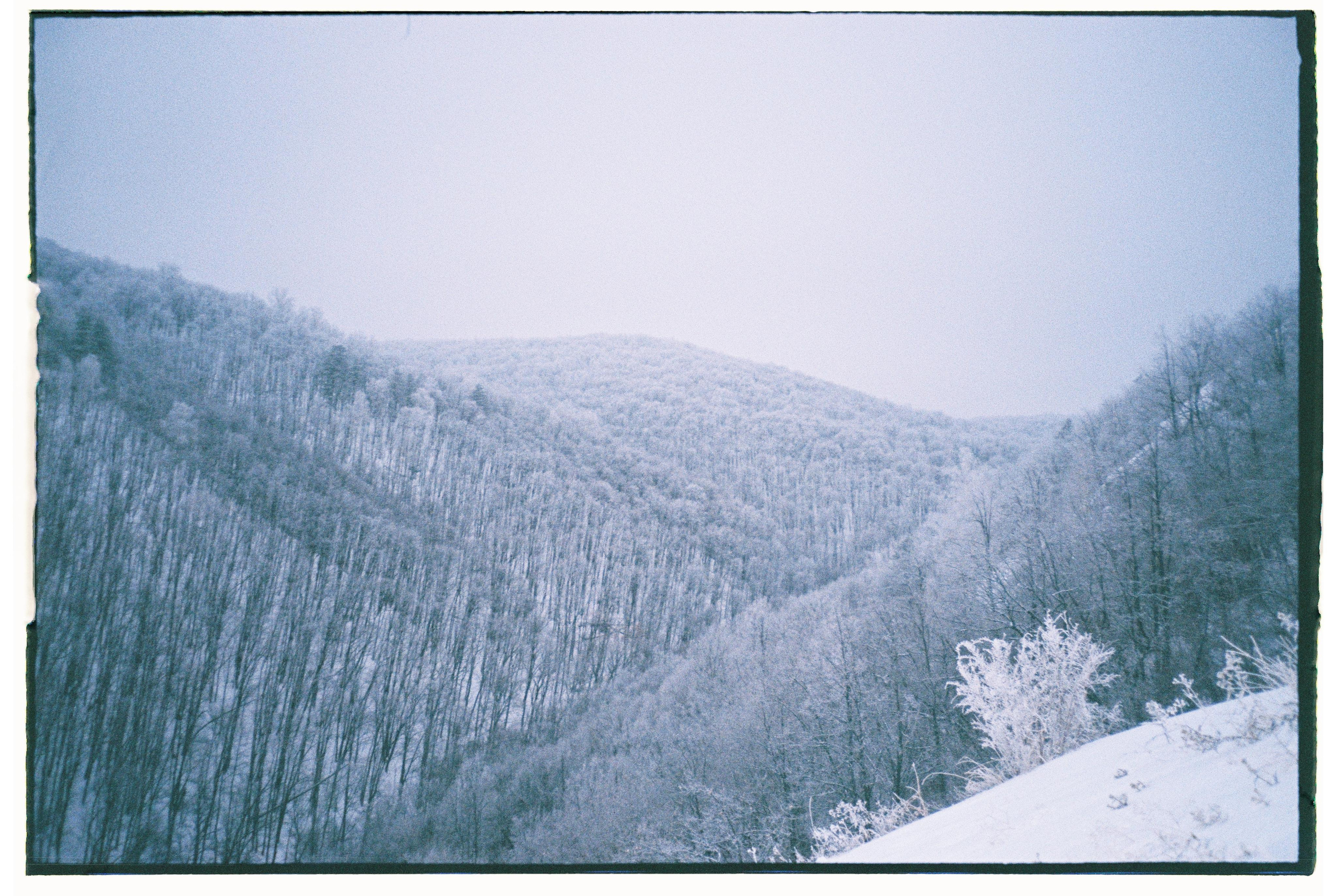 Nature. Фотограф Ирина Гринько Тольятти Самара Москва