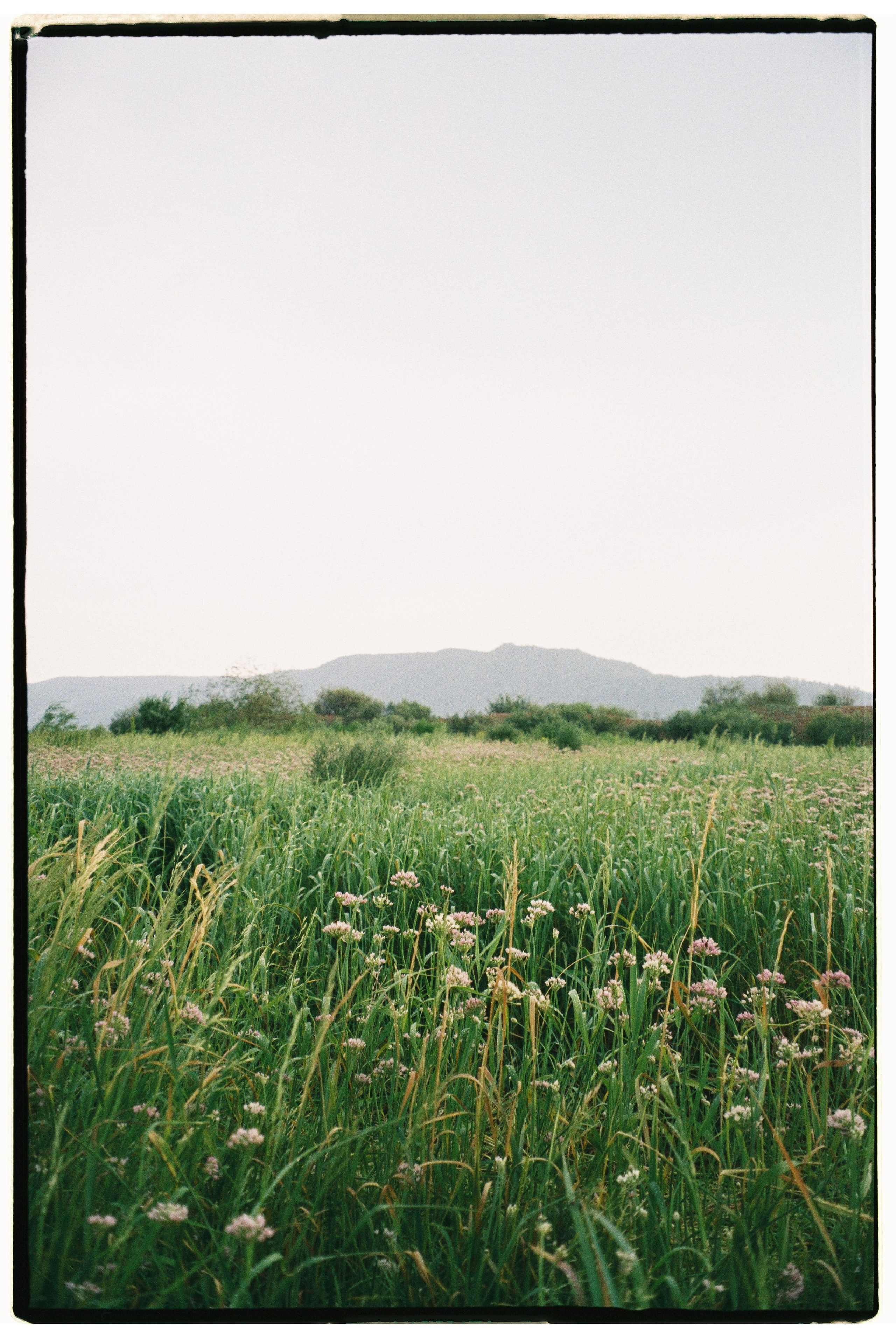 Nature. Фотограф Ирина Гринько Тольятти Самара Москва