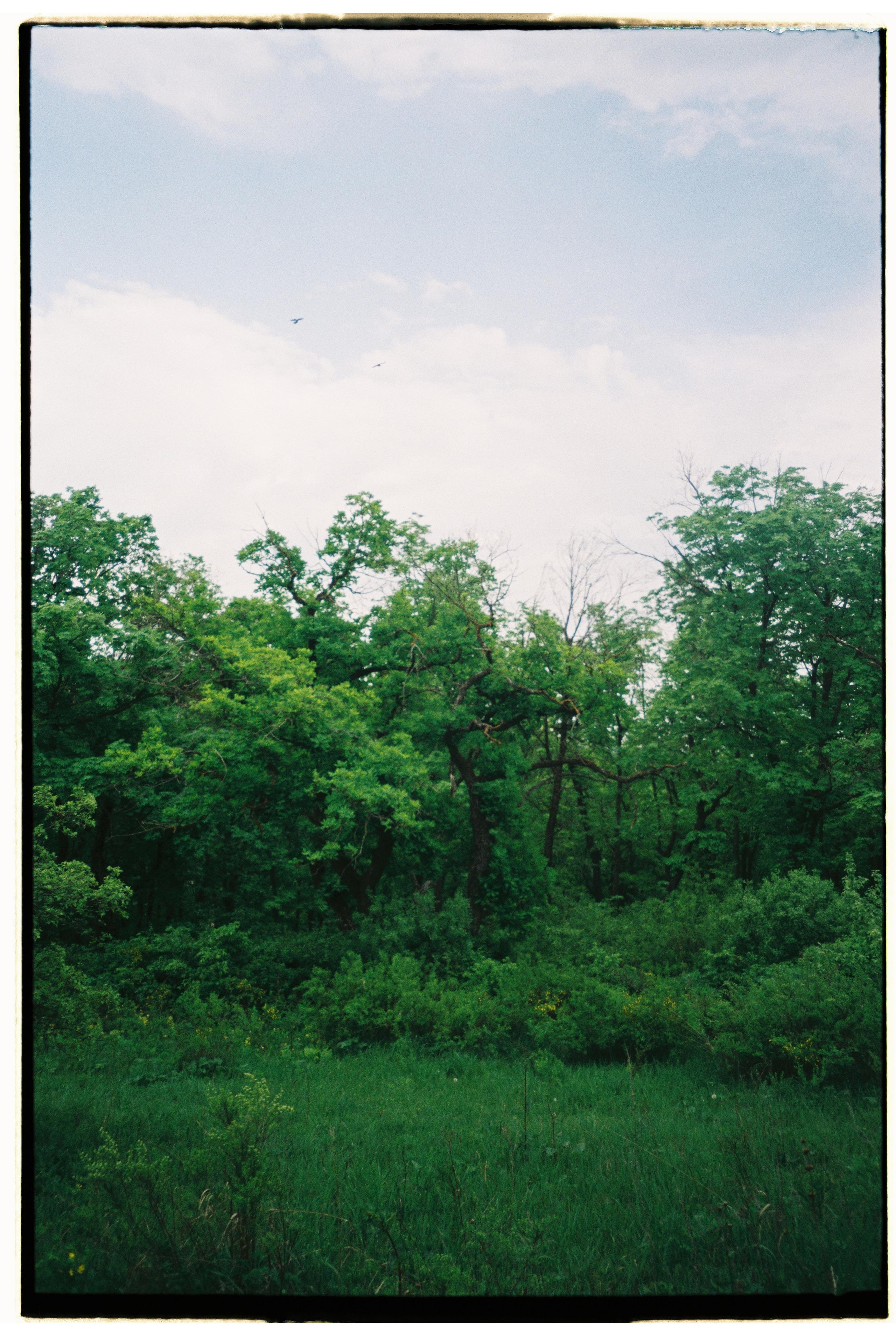 Nature. Фотограф Ирина Гринько Тольятти Самара Москва