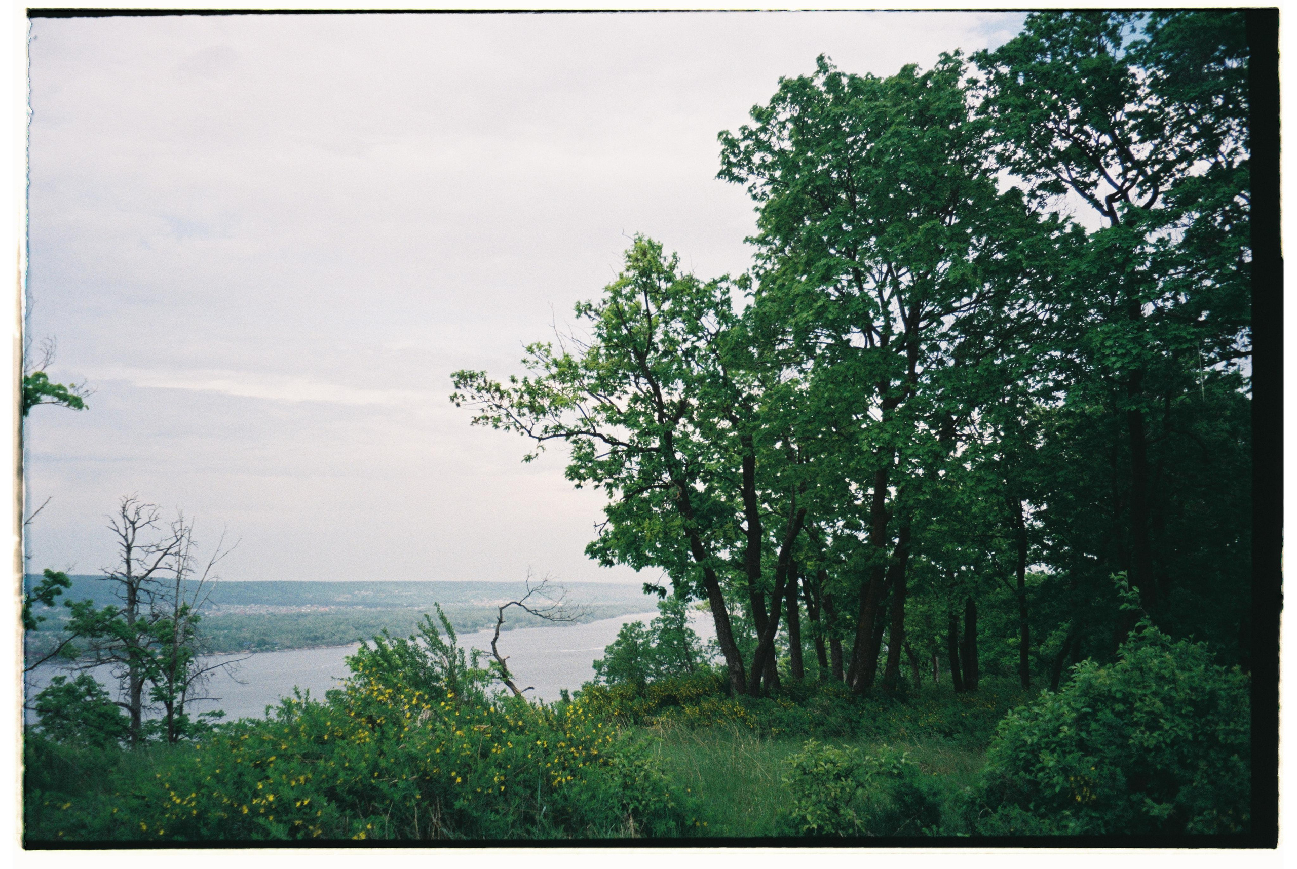 Nature. Фотограф Ирина Гринько Тольятти Самара Москва