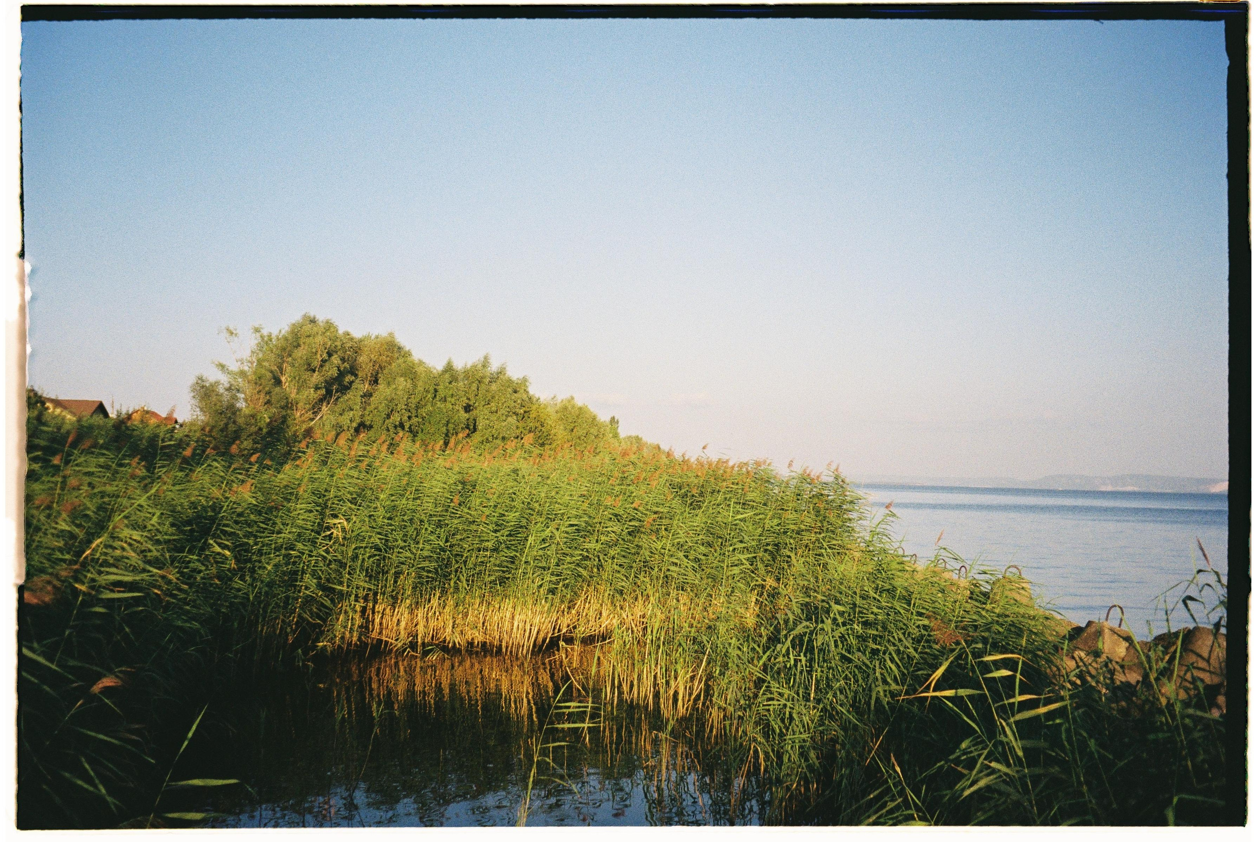Nature. Фотограф Ирина Гринько Тольятти Самара Москва