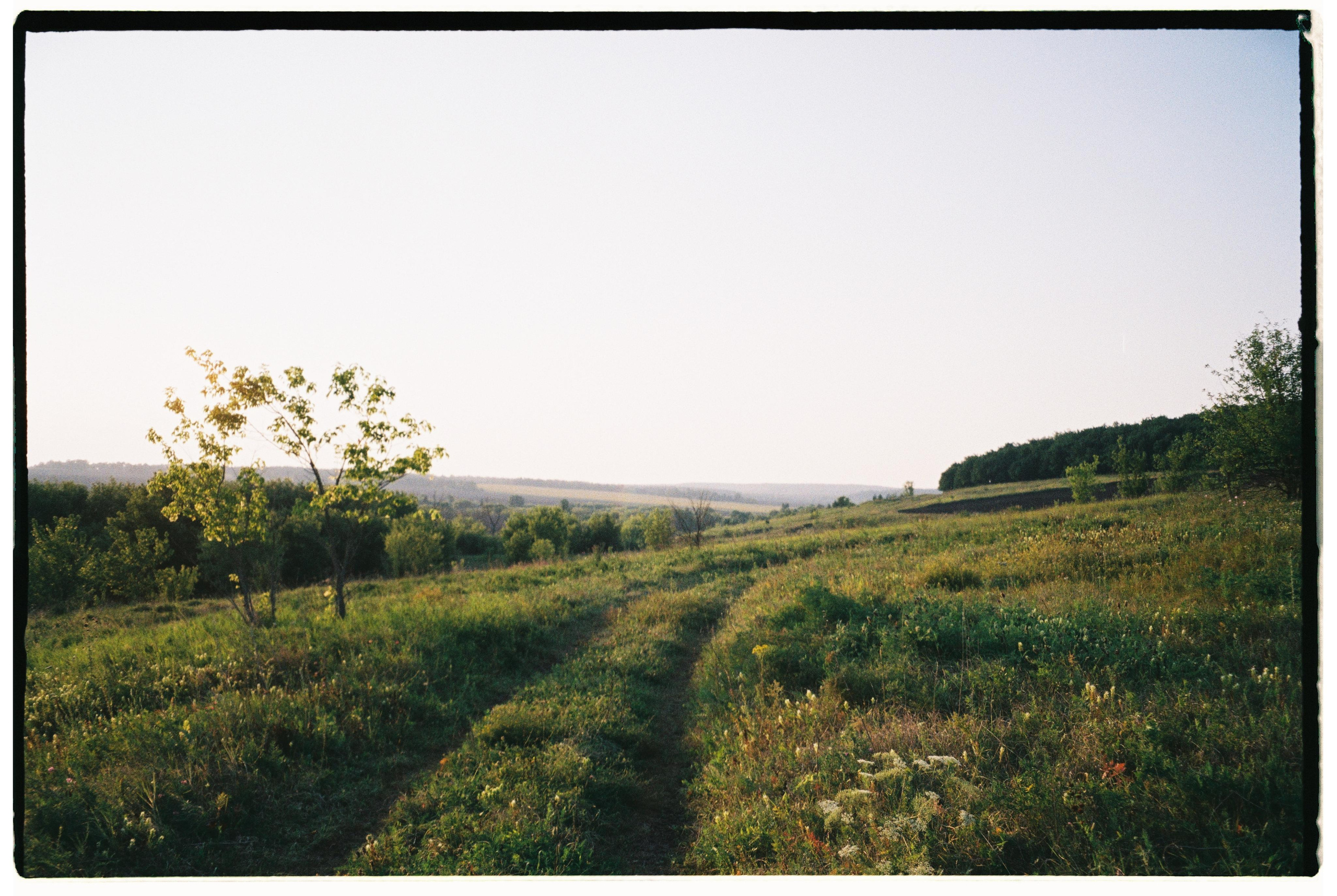 Nature. Фотограф Ирина Гринько Тольятти Самара Москва