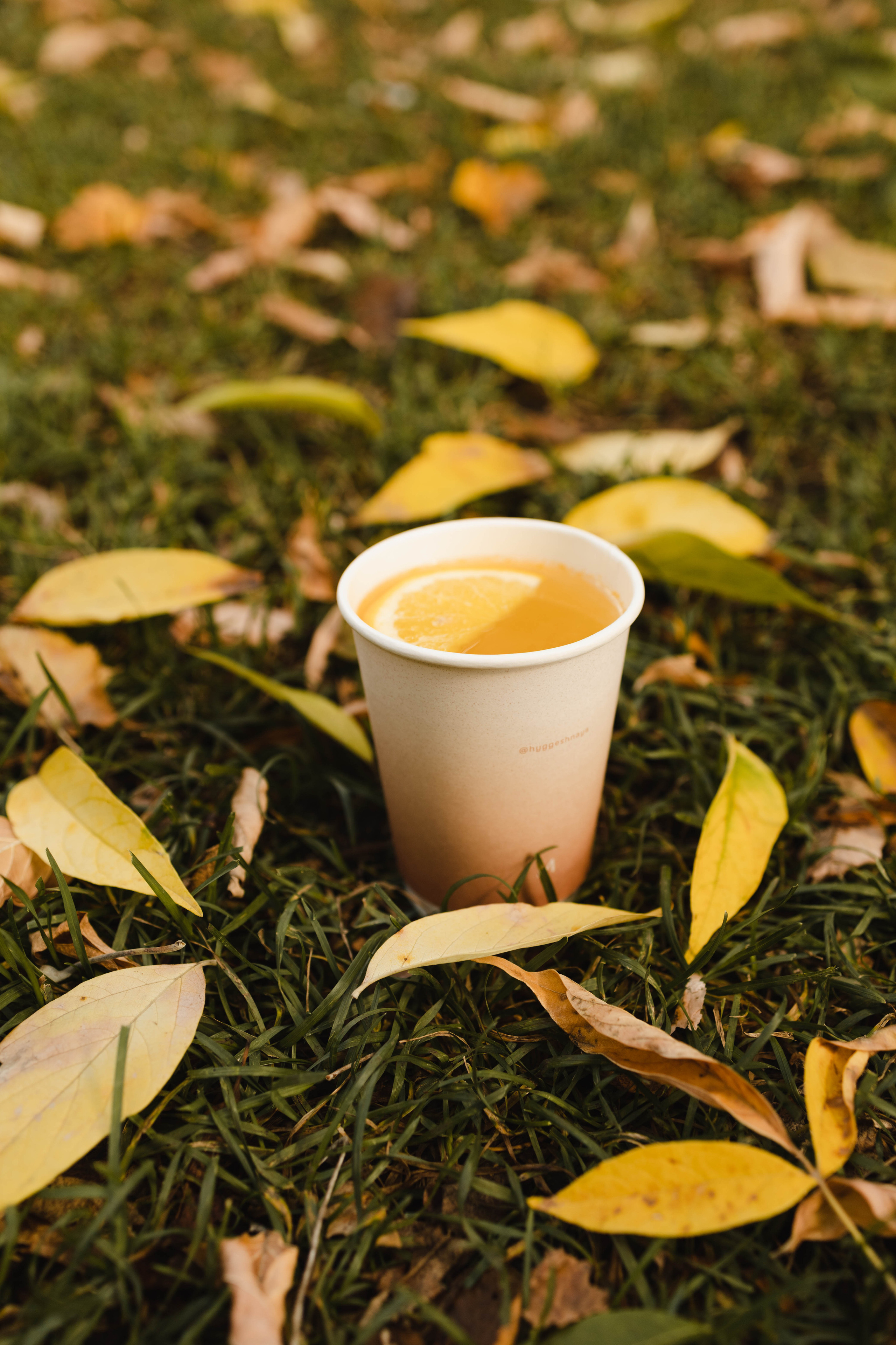 Hyggeshnaya. Фотограф Ирина Гринько Тольятти Самара Москва