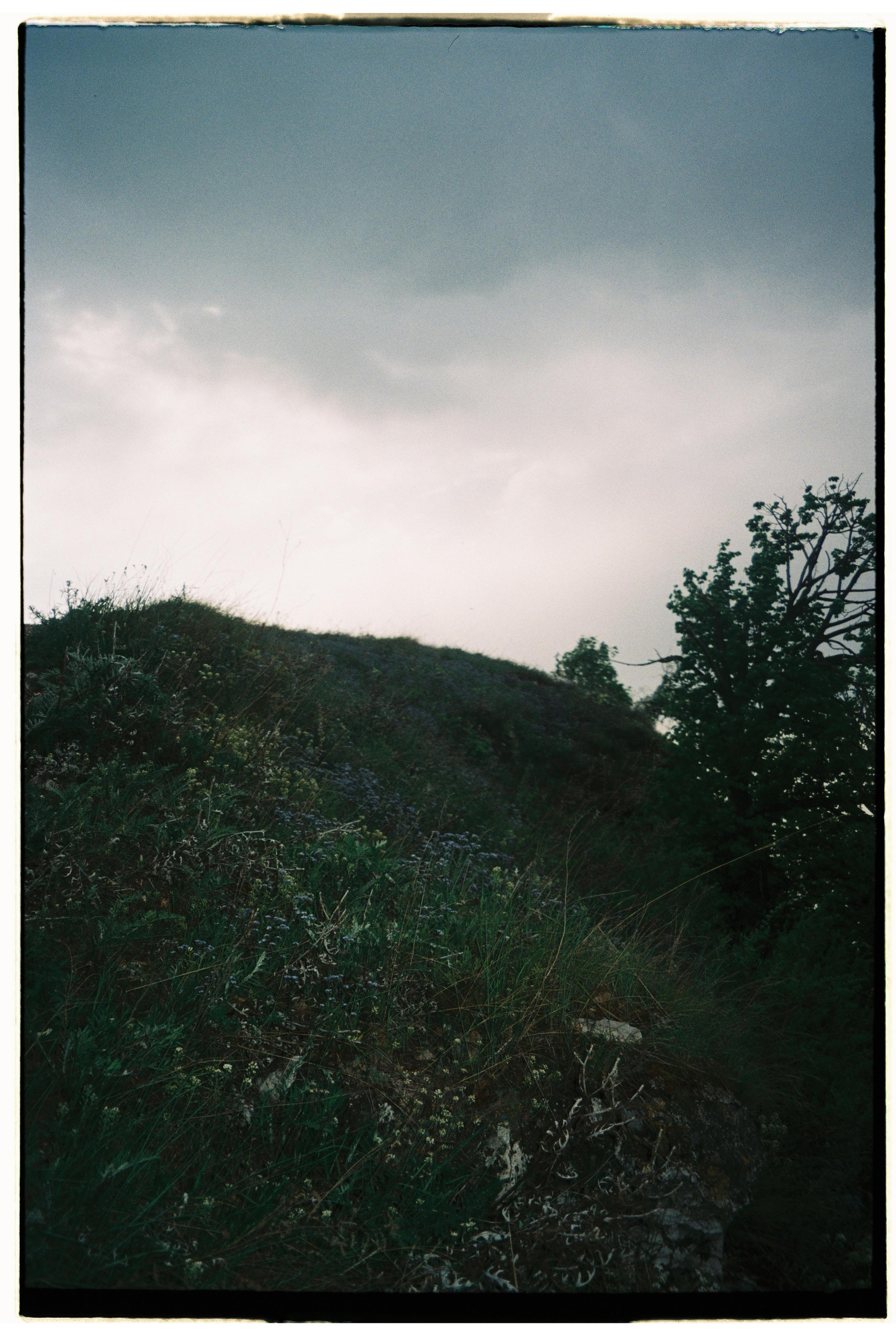 Nature. Фотограф Ирина Гринько Тольятти Самара Москва