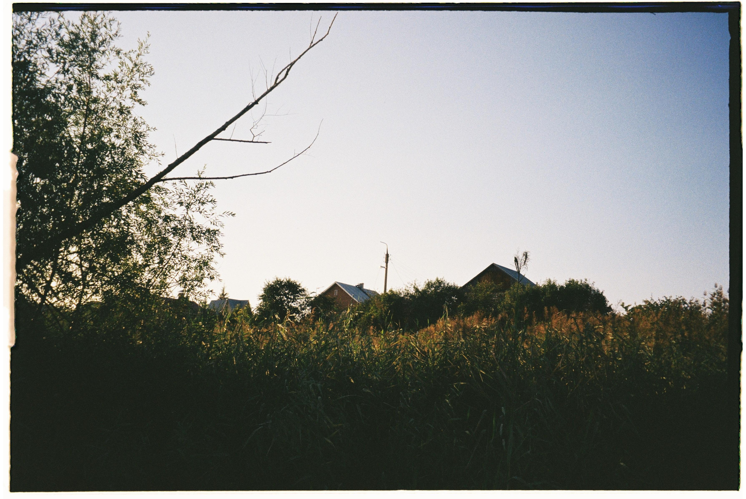 Nature. Фотограф Ирина Гринько Тольятти Самара Москва