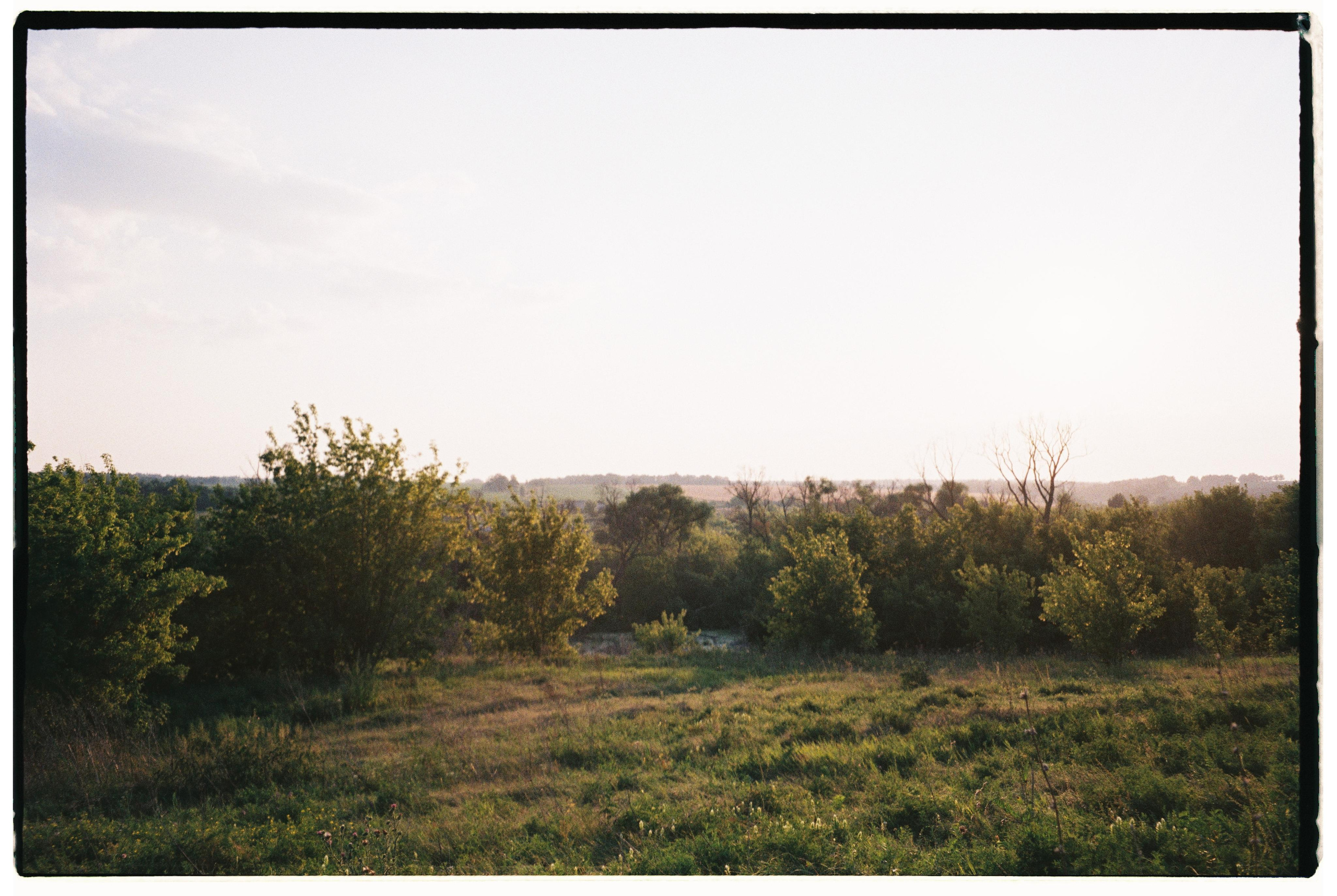 Nature. Фотограф Ирина Гринько Тольятти Самара Москва