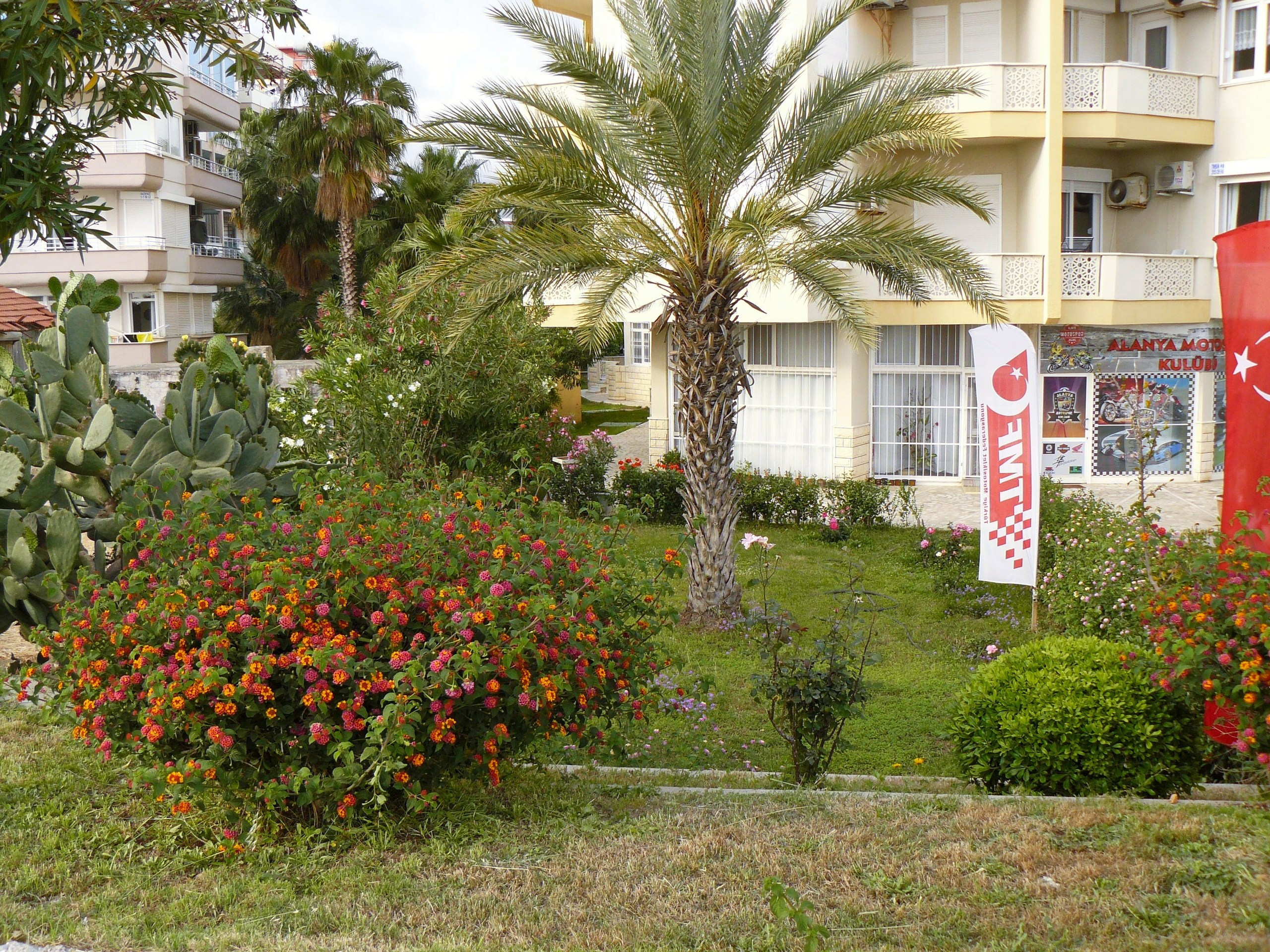 Алания 2014. Фотопрогулки по Миру