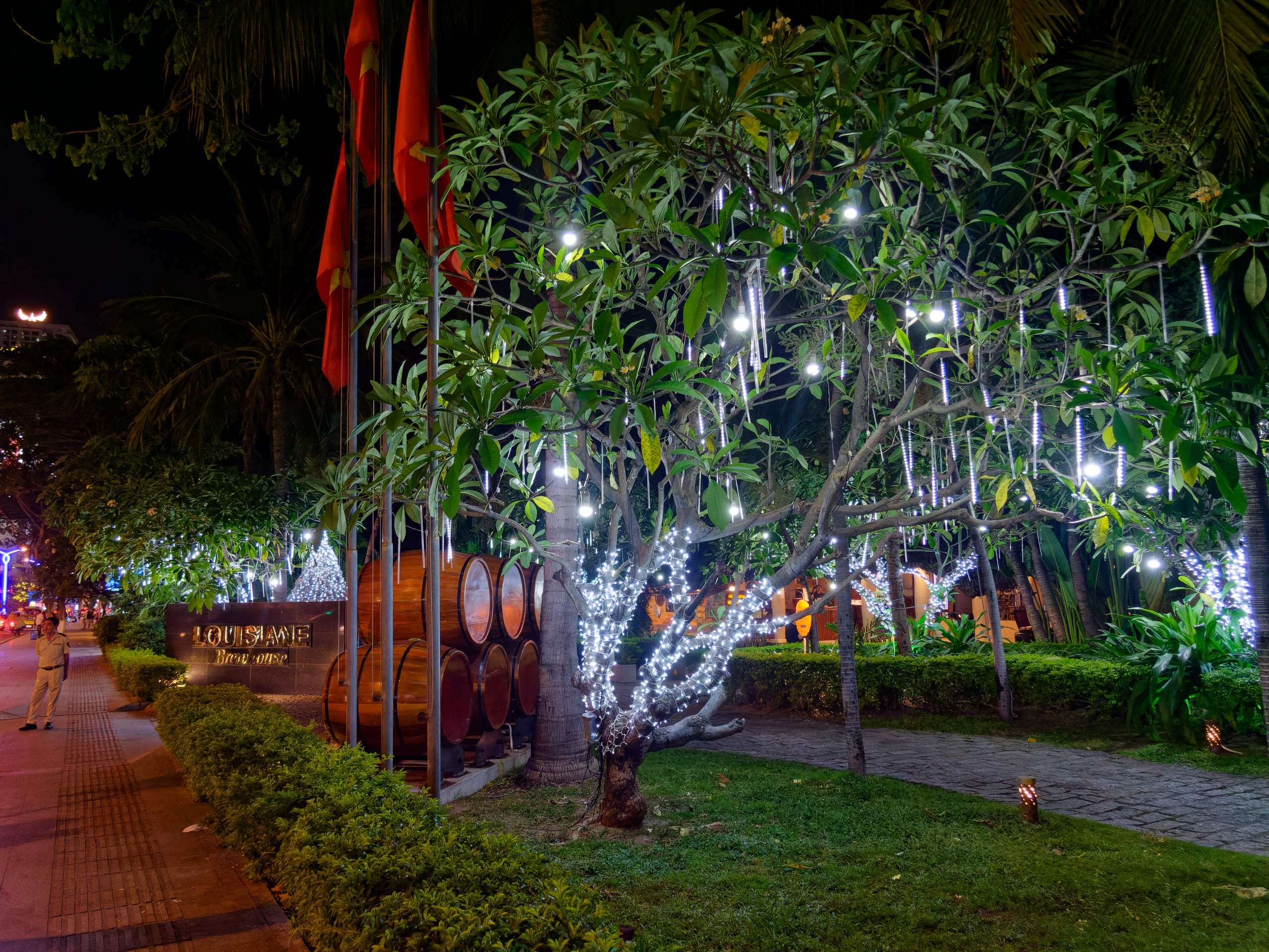 Нячанг 2025 (2). Избранные фотографии