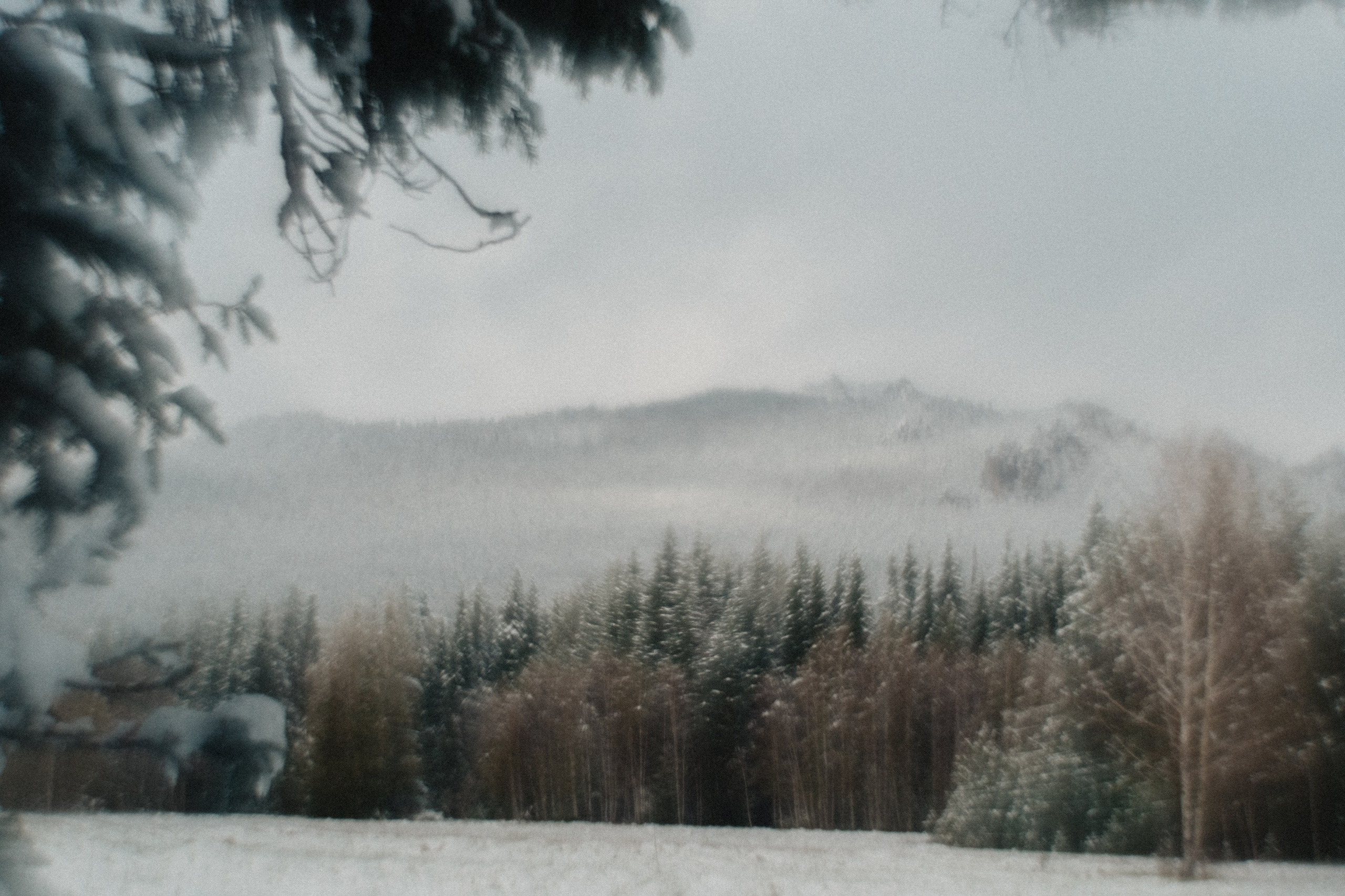 Южный Урал. Окрестности Ялангаса | Май 2024. Andrew Sozonov visual artist