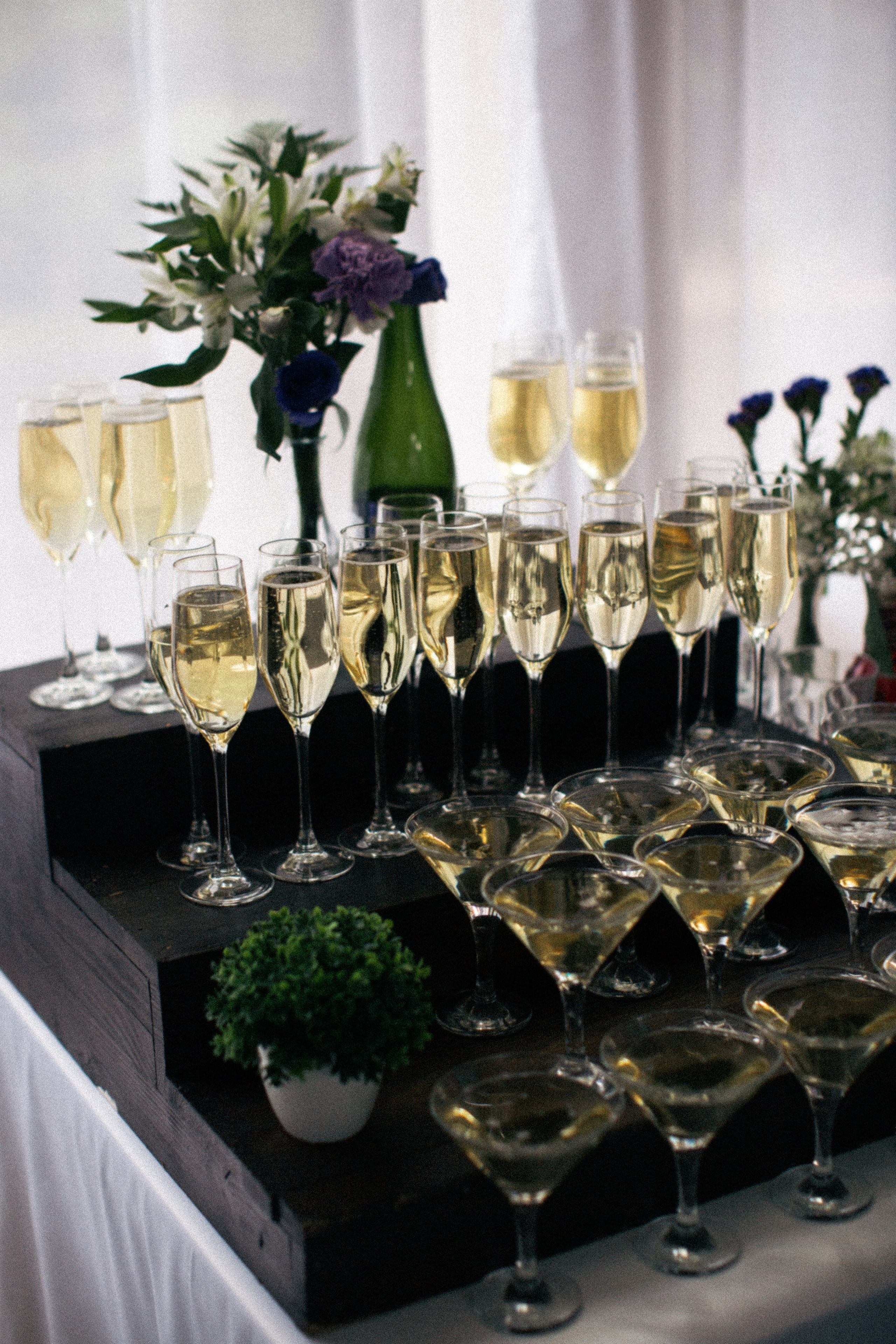 23/07/23. Фотограф НатаФото (Наталья Яковенко) Дмитров Москва Питер