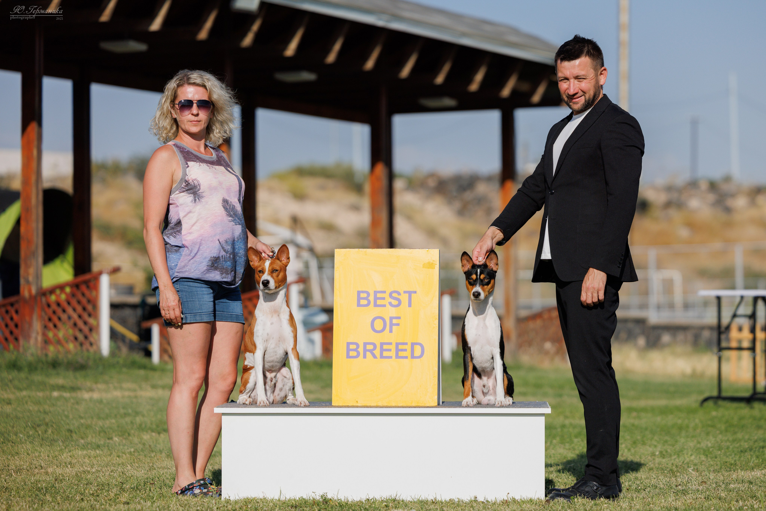 Ереван 3хCACIB 23-25.06.2025. Фотограф-анималист Юлия Германика