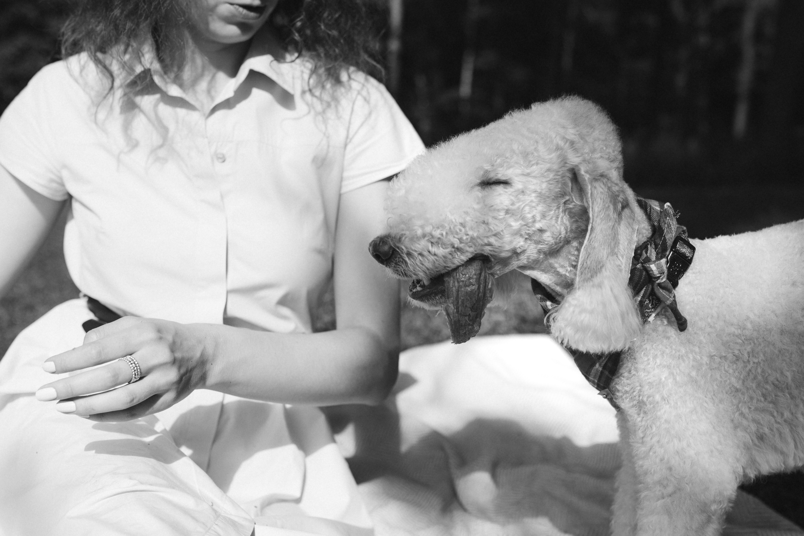 Лиза и Каспер. Фотограф анималист в Москве Ольга Агушева