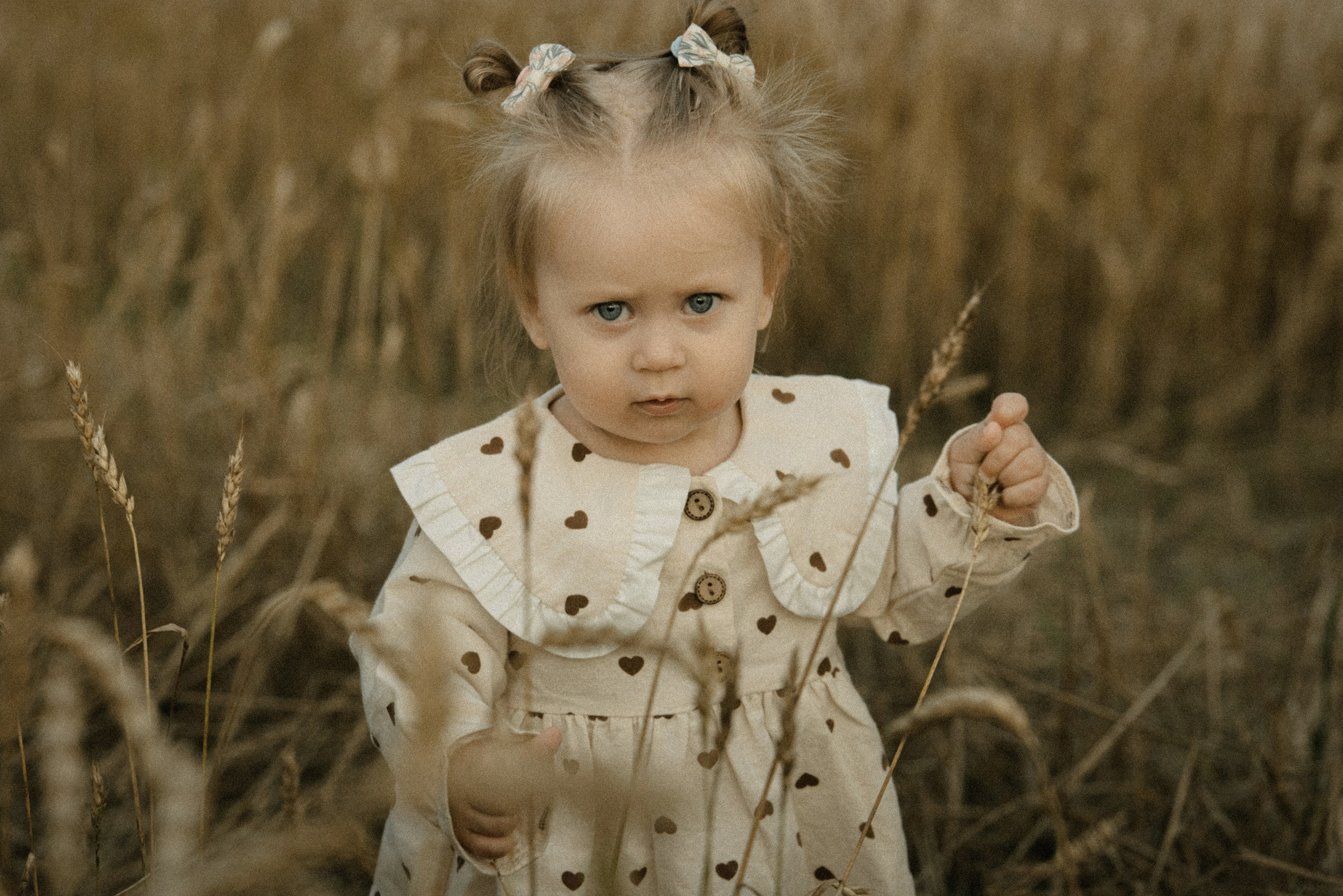 Семейная Закат. Римма Гусакова. Выпускные фотокниги. Детские и семейные фотосессии
