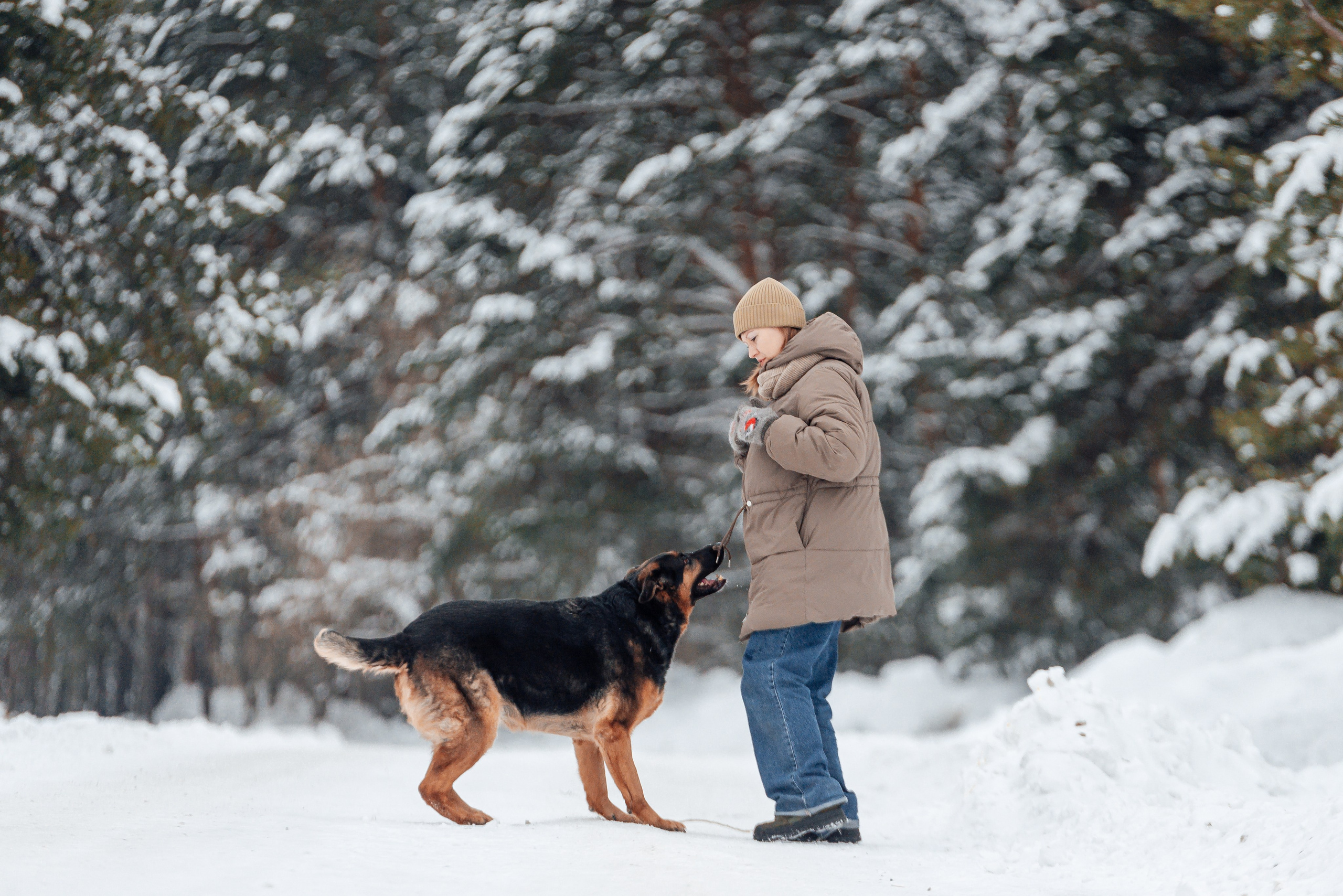 Светлана, Альфа и кошки ✨. Фотограф-анималист Анастасия Парфенова|Екатеринбург