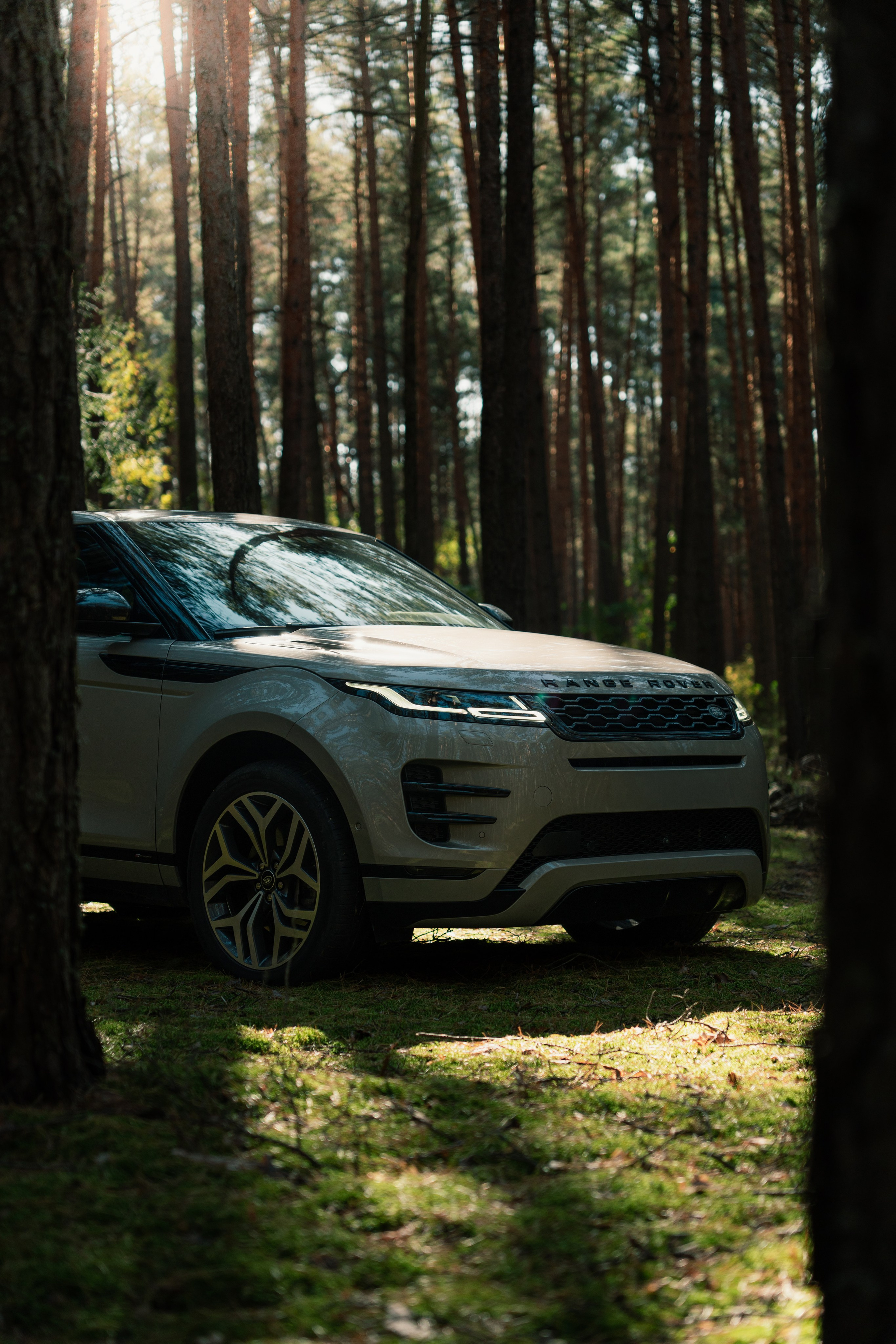 Фотографии Land Rover Range Rover Evoque